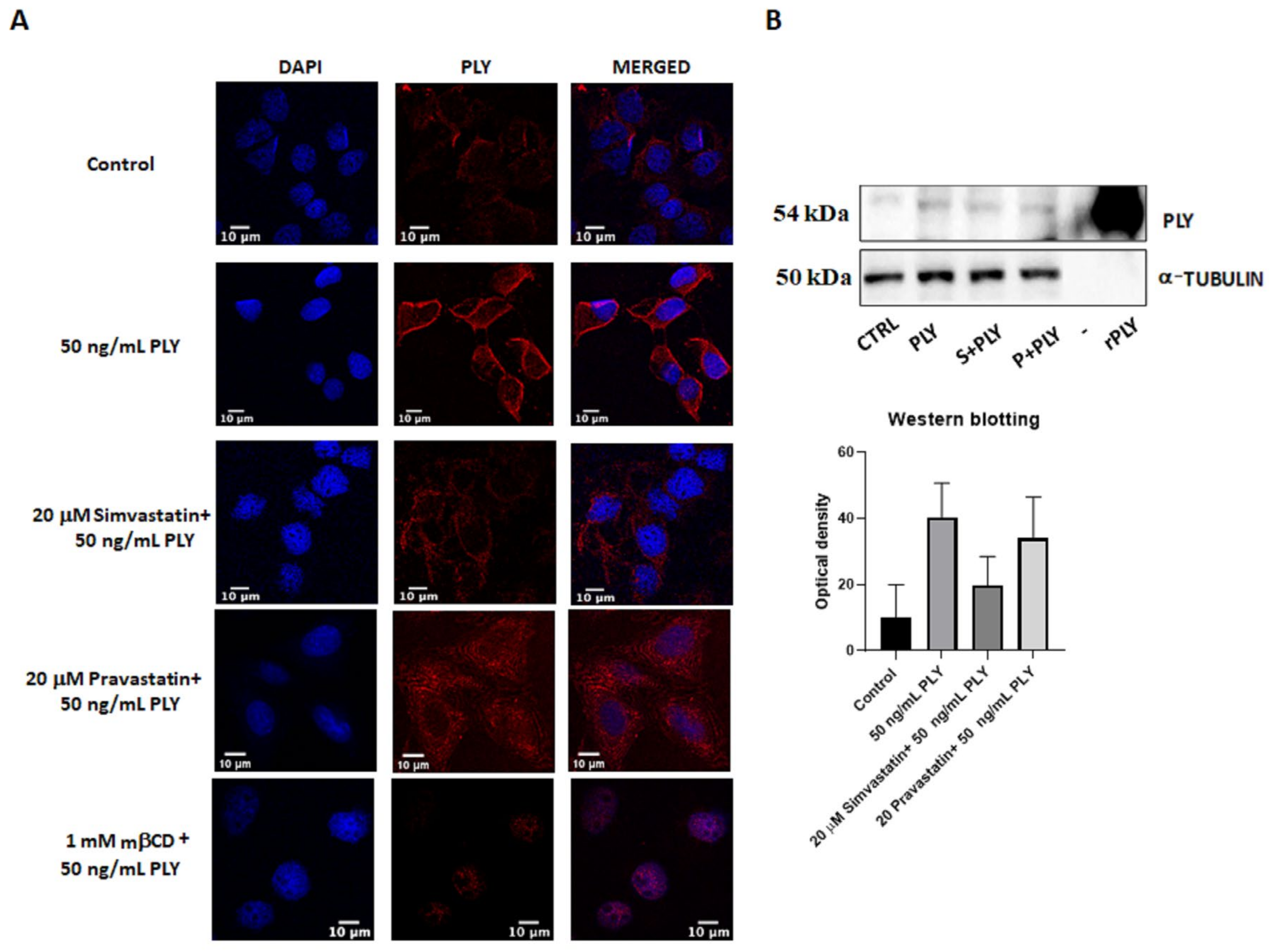 Toxins 14 00346 g005