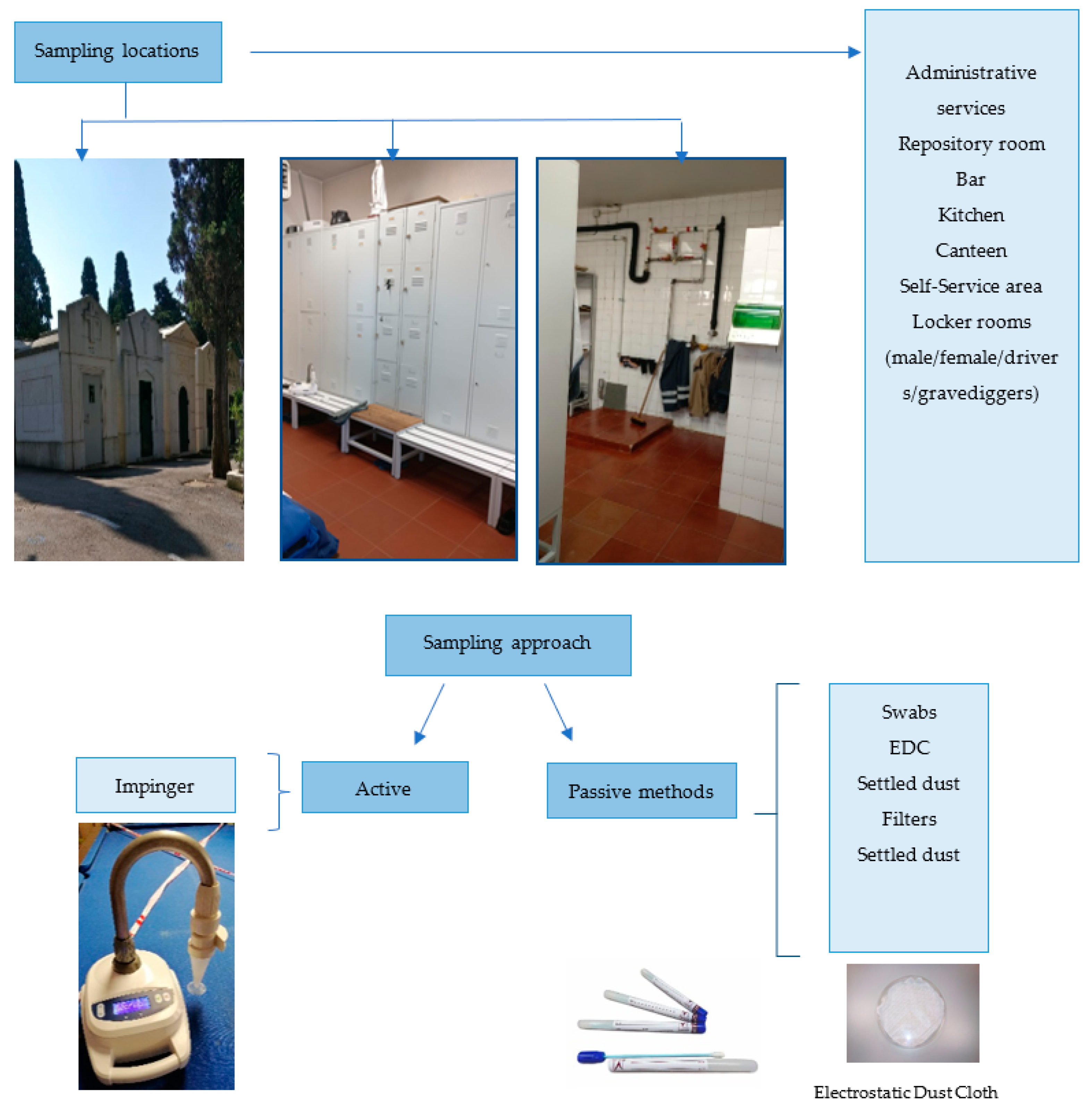 Toxins 14 00348 g004