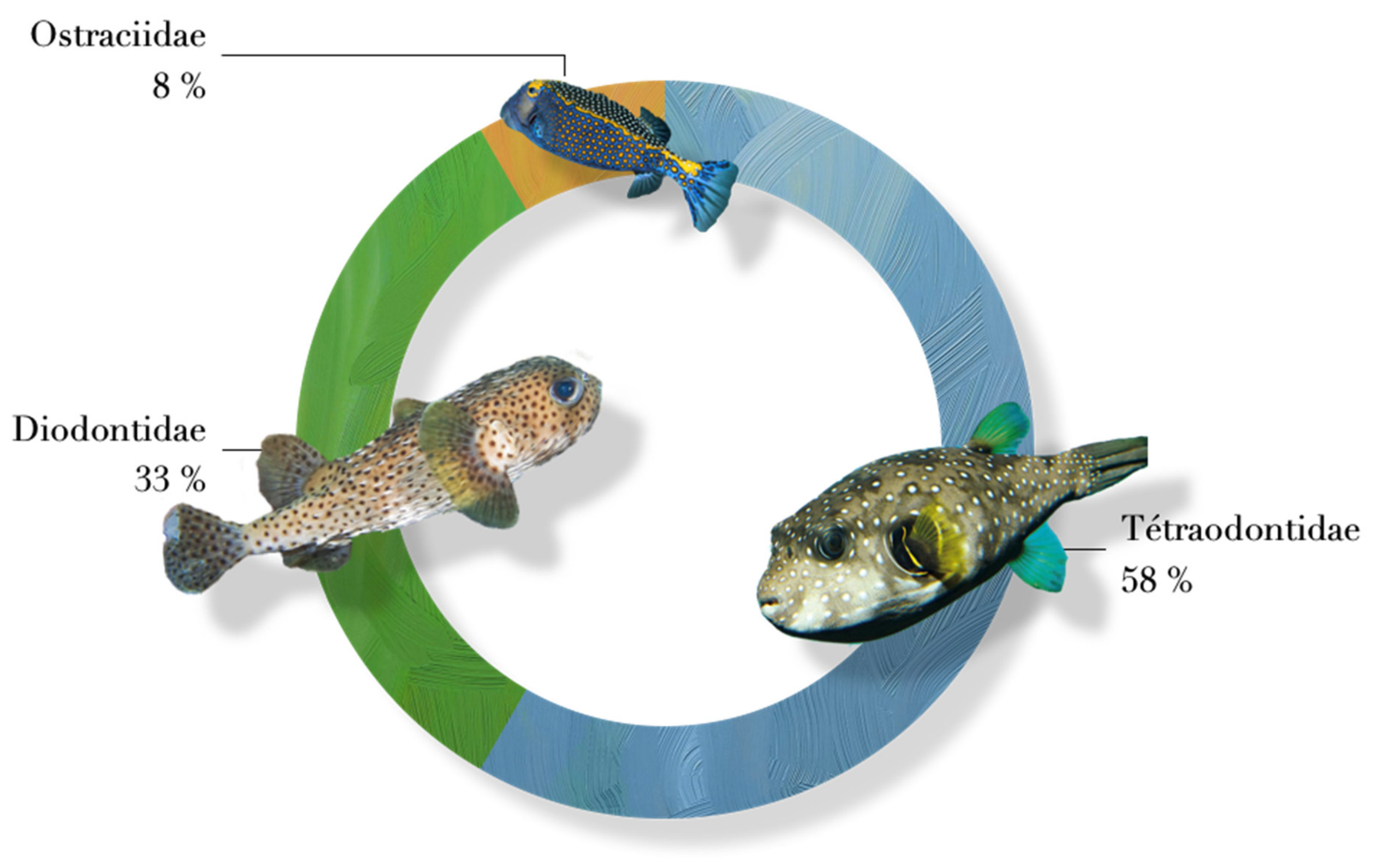 Toxins 14 00351 g004 550