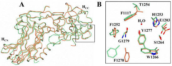 Structural Features of Clostridium botulinum Neurotoxin