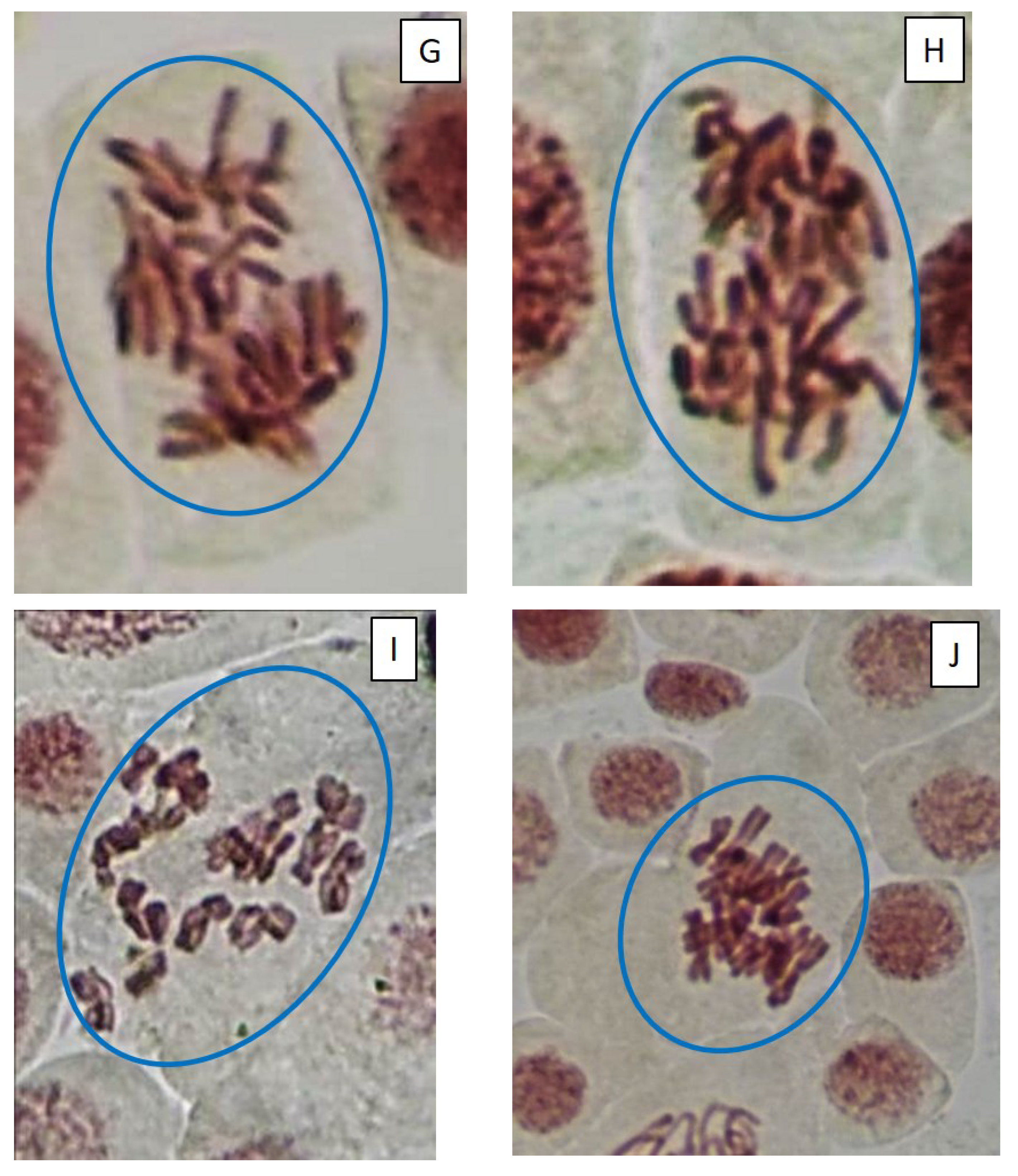 Toxins 14 00359 g005c