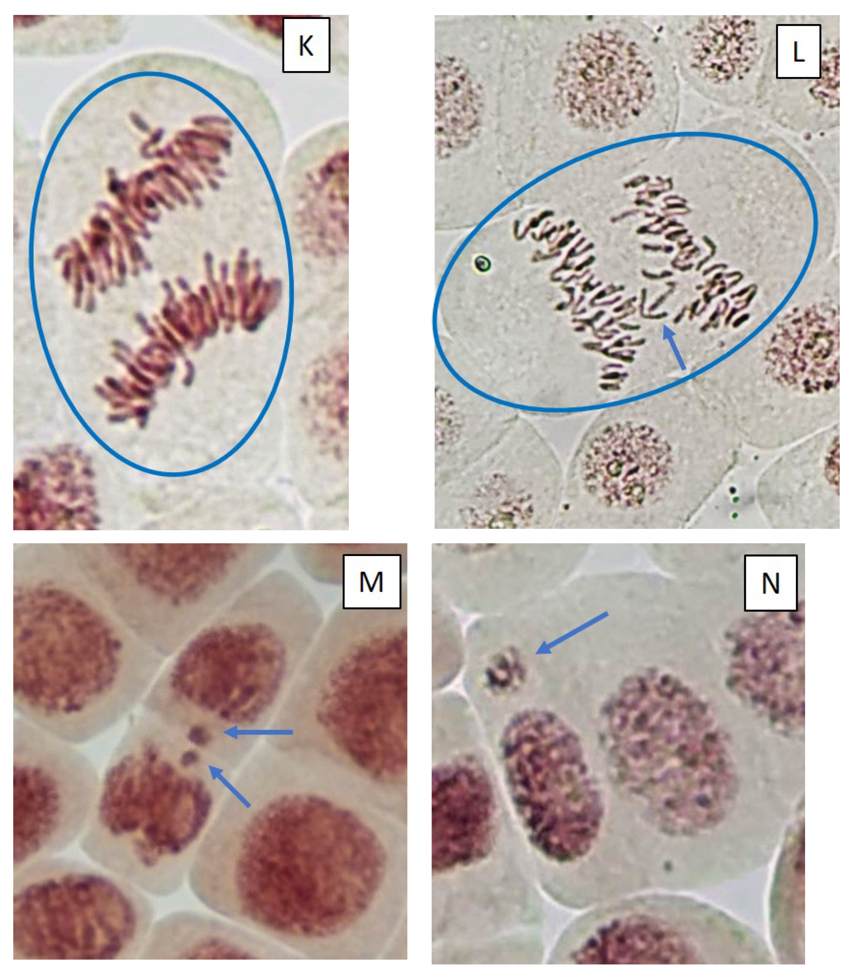 Toxins 14 00359 g005d