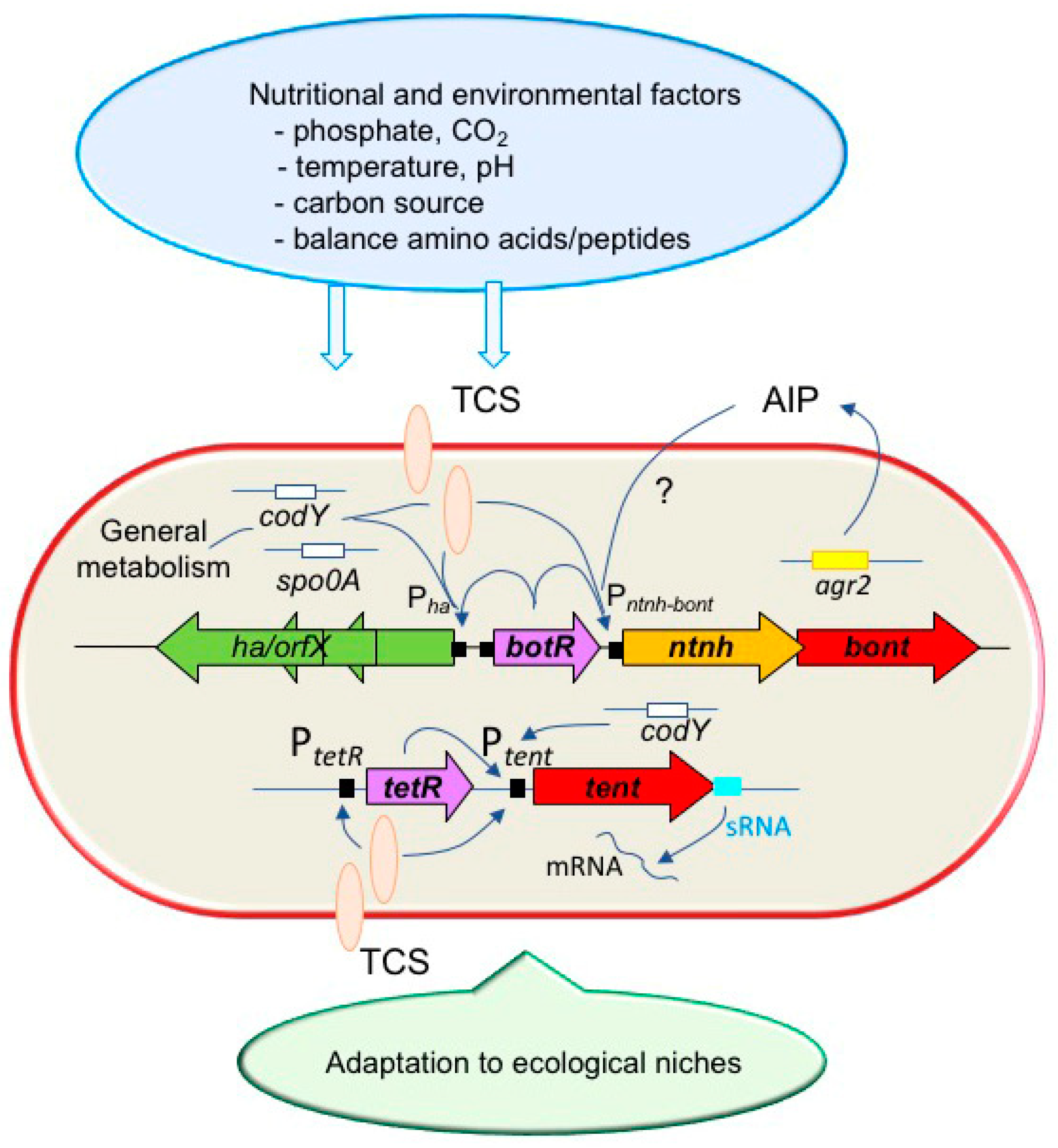 Toxins 14 00364 g003 Toxins 14 00364 g003
