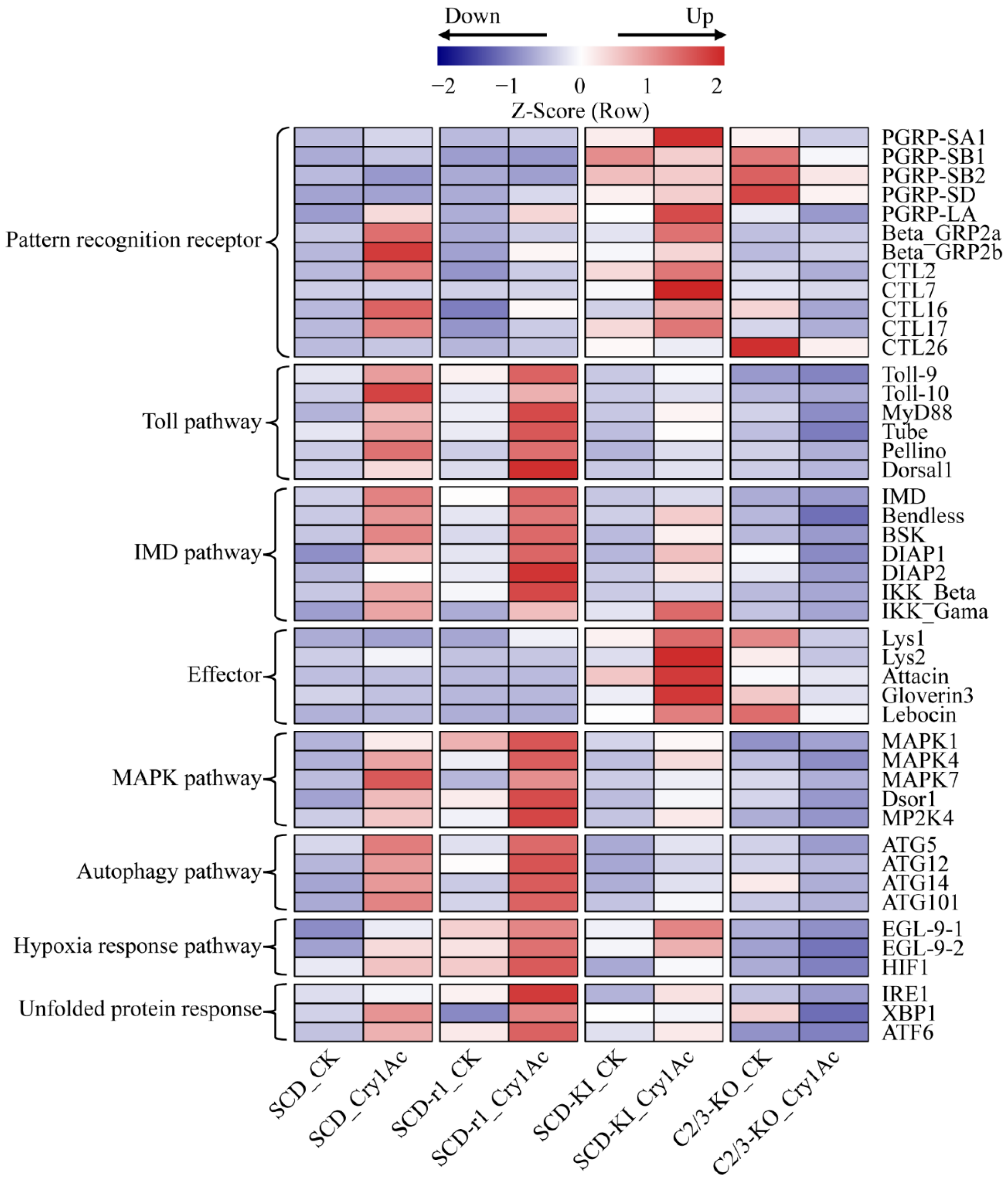 Toxins 14 00366 g006 550