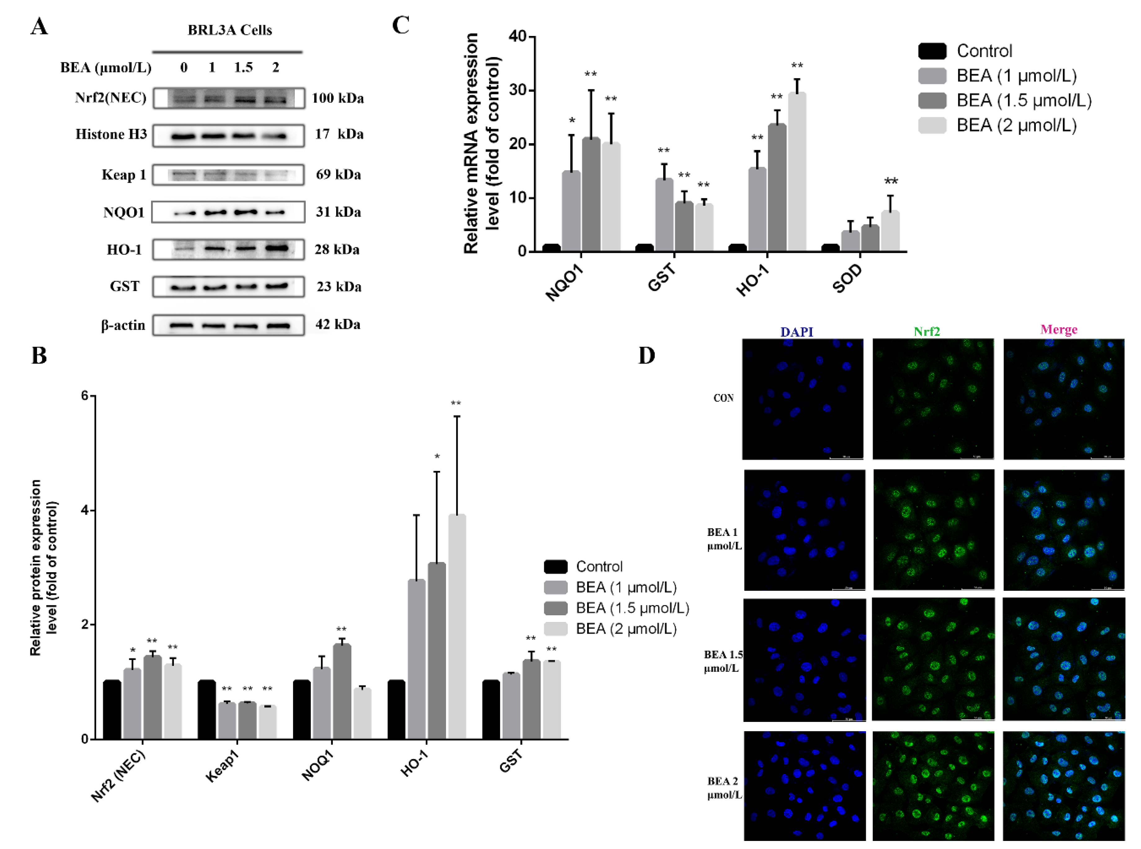 Toxins 14 00367 g003