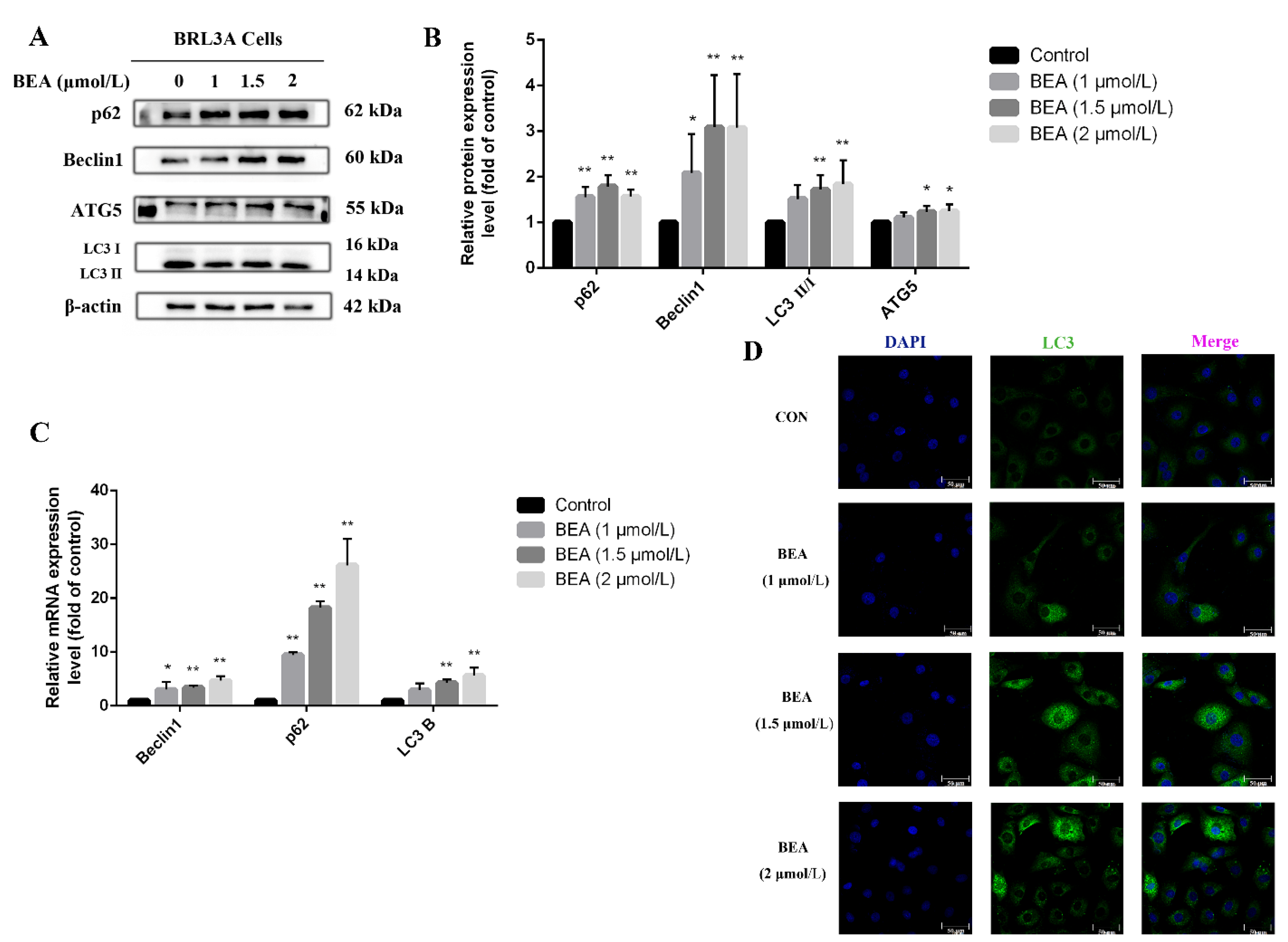 Toxins 14 00367 g004