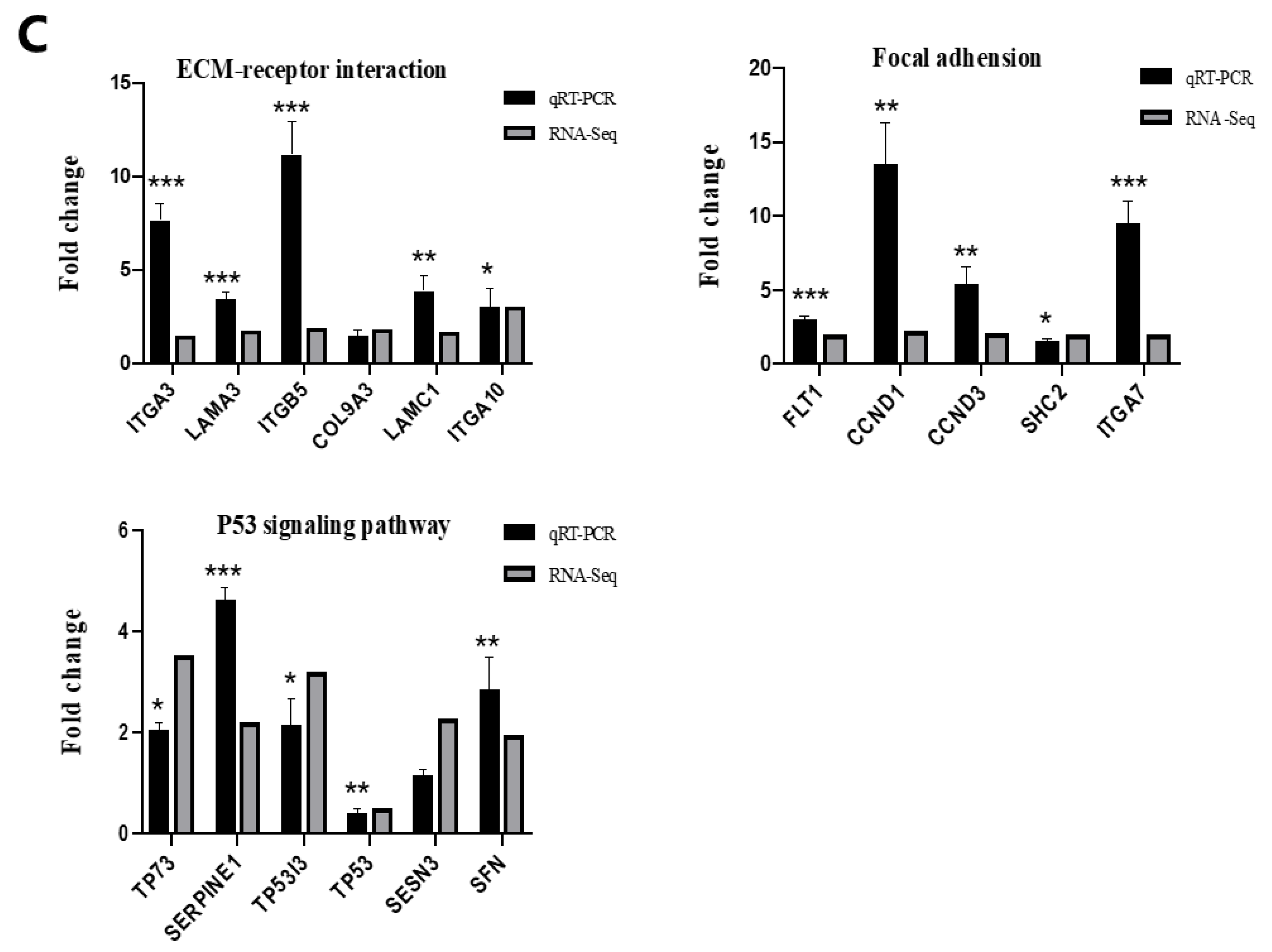 Toxins 14 00368 g003b