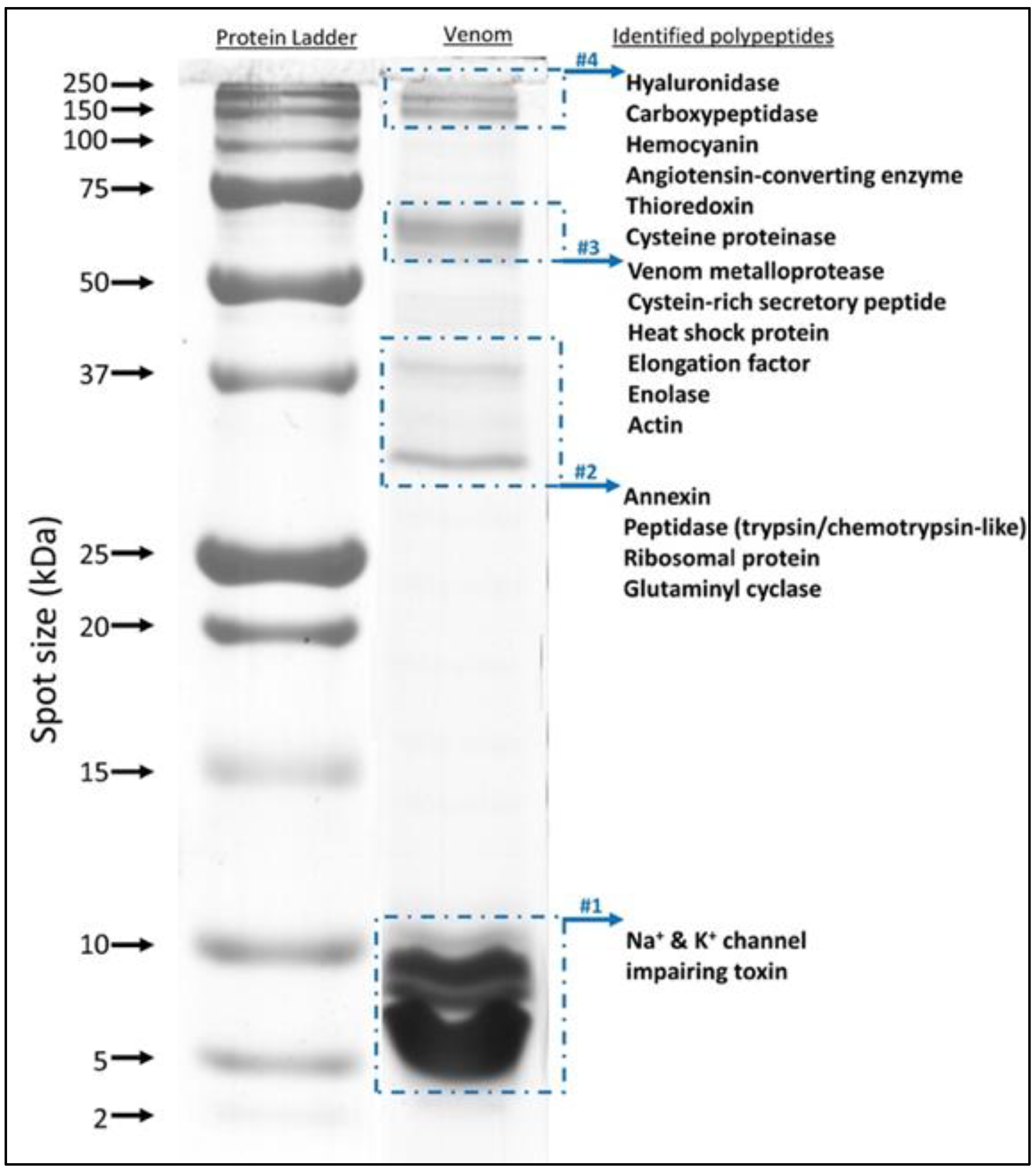 Toxins 14 00370 g002 Toxins 14 00370 g002