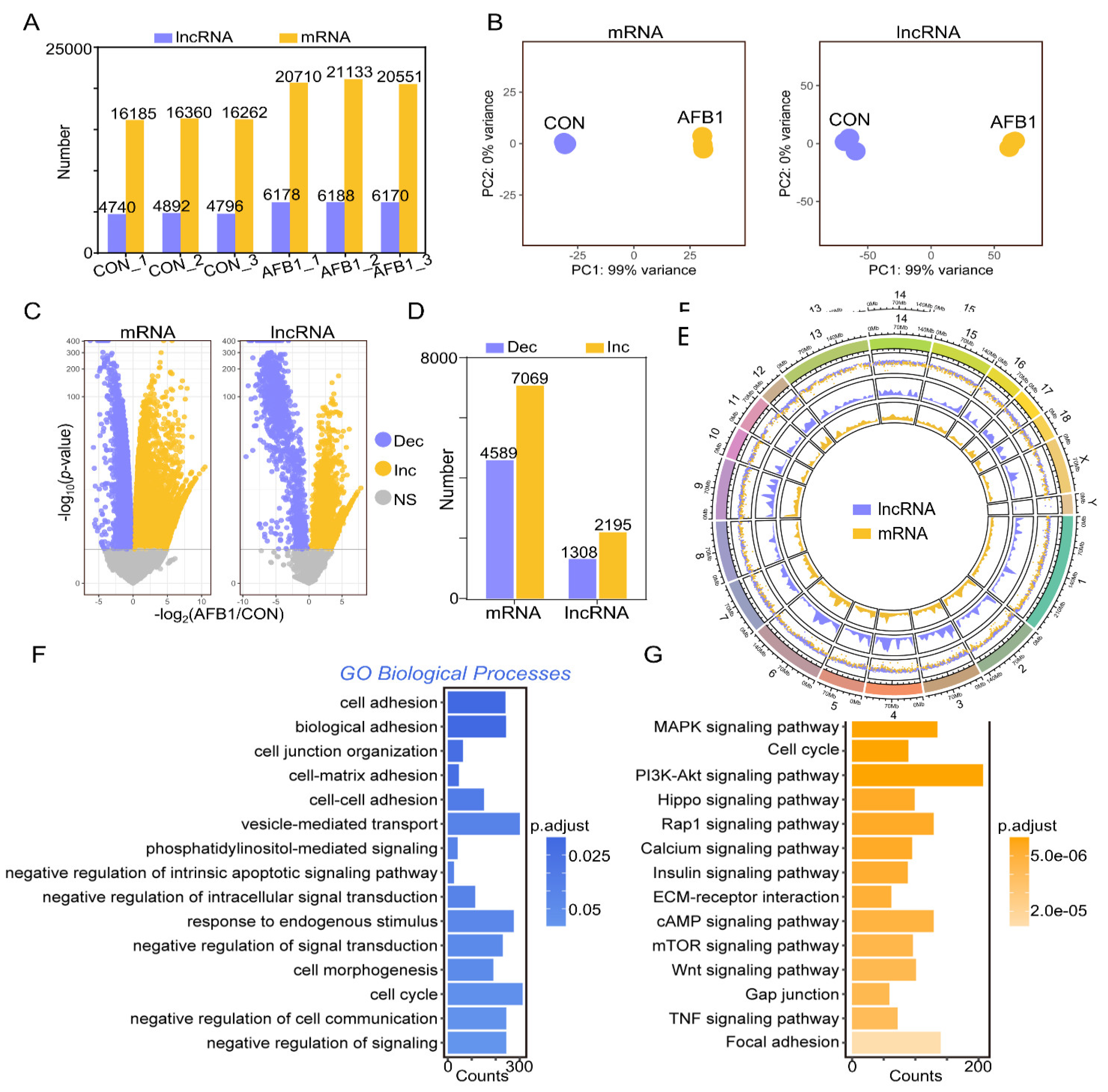 Toxins 14 00373 g002