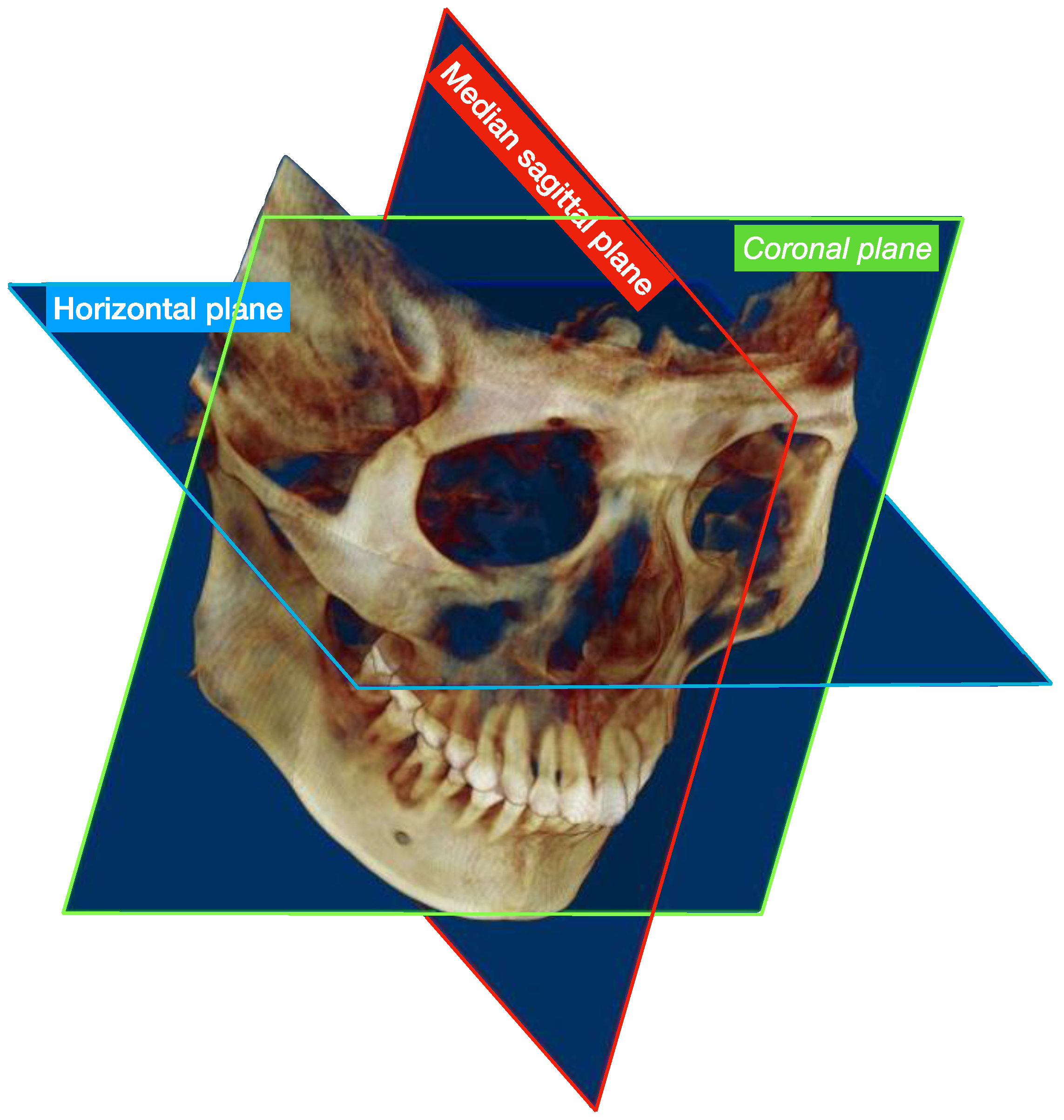 Toxins 14 00374 g002 Toxins 14 00374 g002