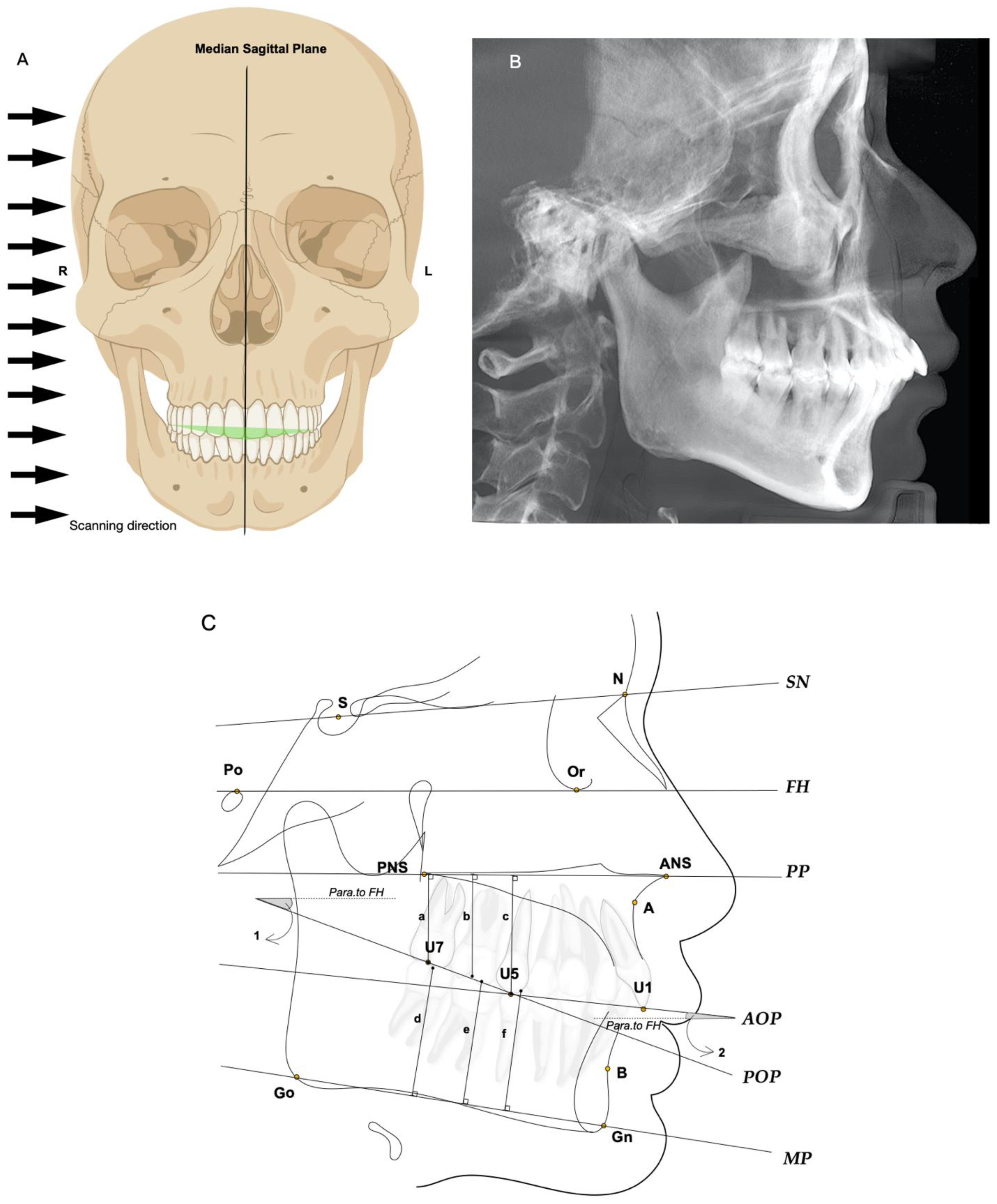 Toxins 14 00374 g004 Toxins 14 00374 g004