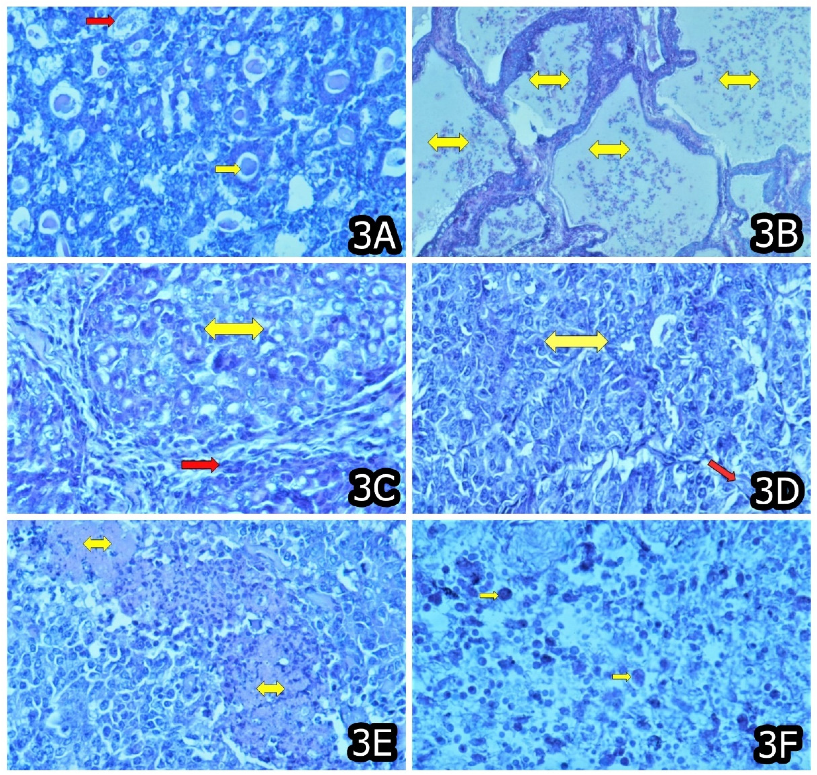 Toxins 14 00380 g003 550