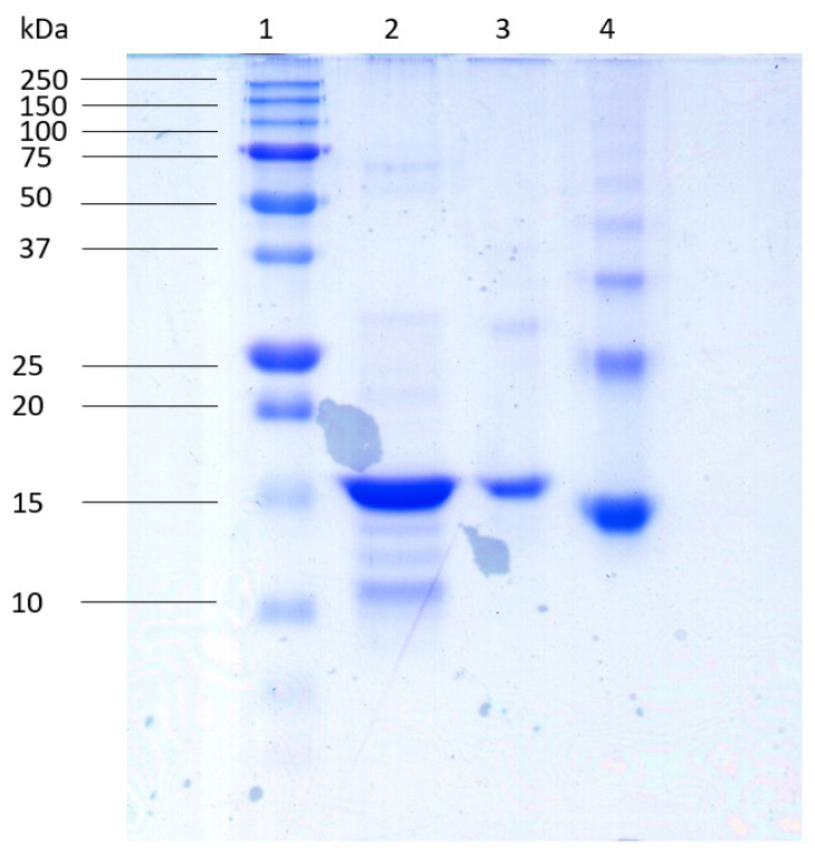 Toxins 14 00382 g002 Toxins 14 00382 g002