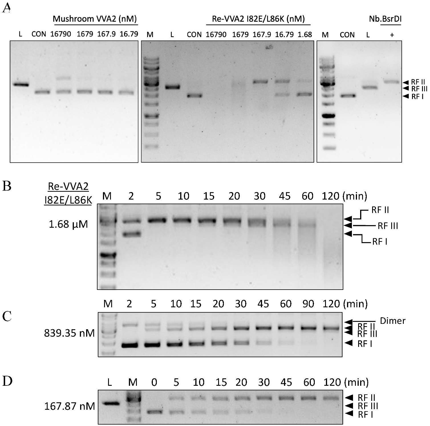 Toxins 14 00392 g002 Toxins 14 00392 g002