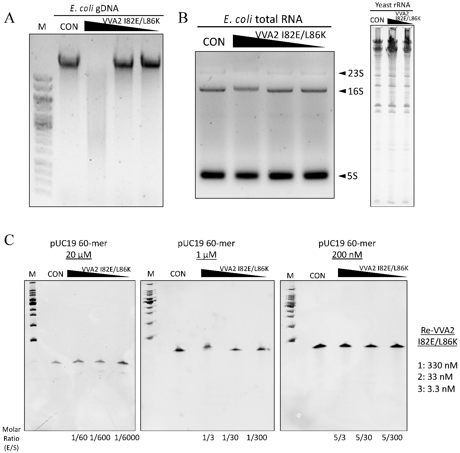 Toxins 14 00392 g003 Toxins 14 00392 g003
