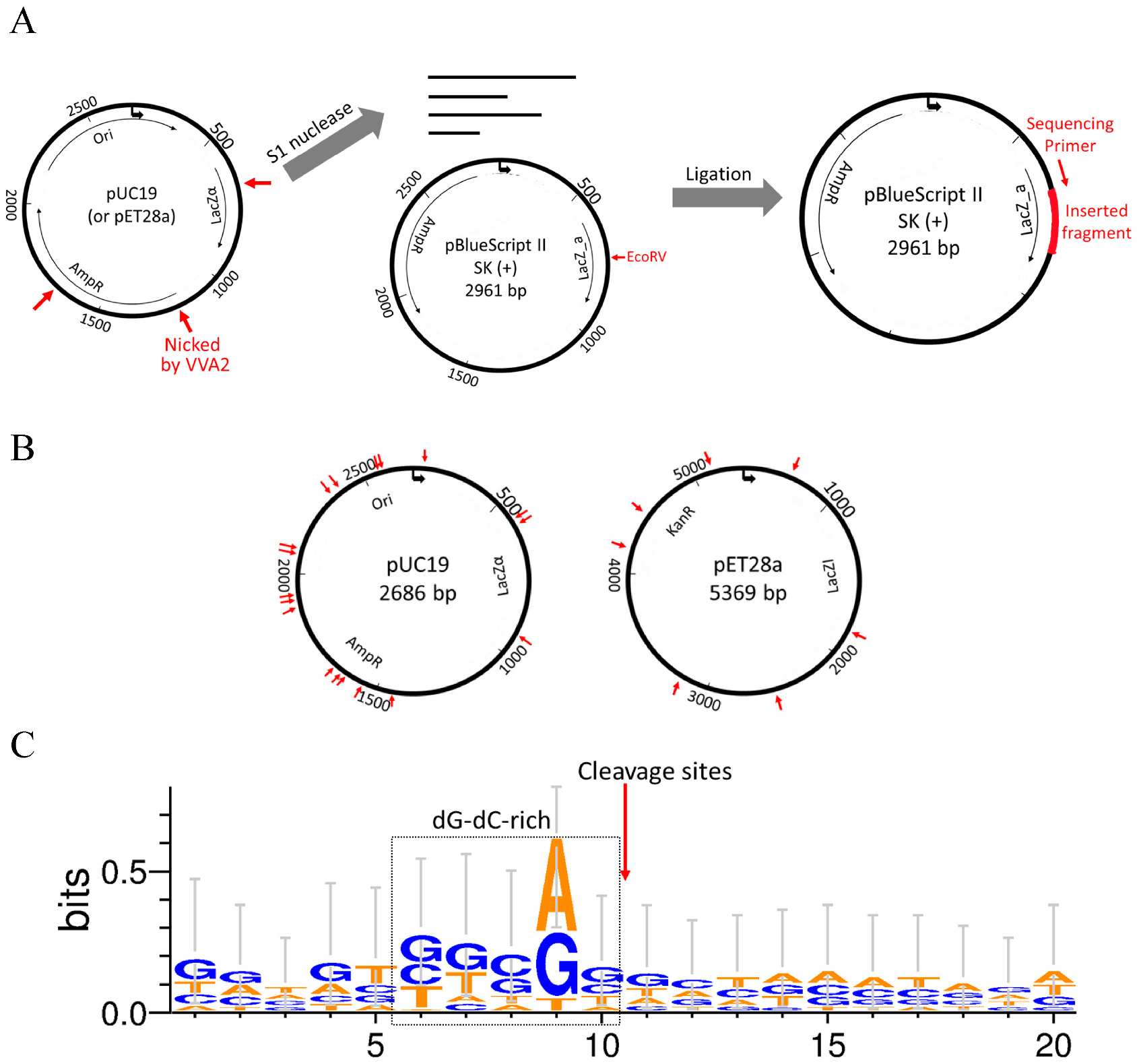 Toxins 14 00392 g006 Toxins 14 00392 g006