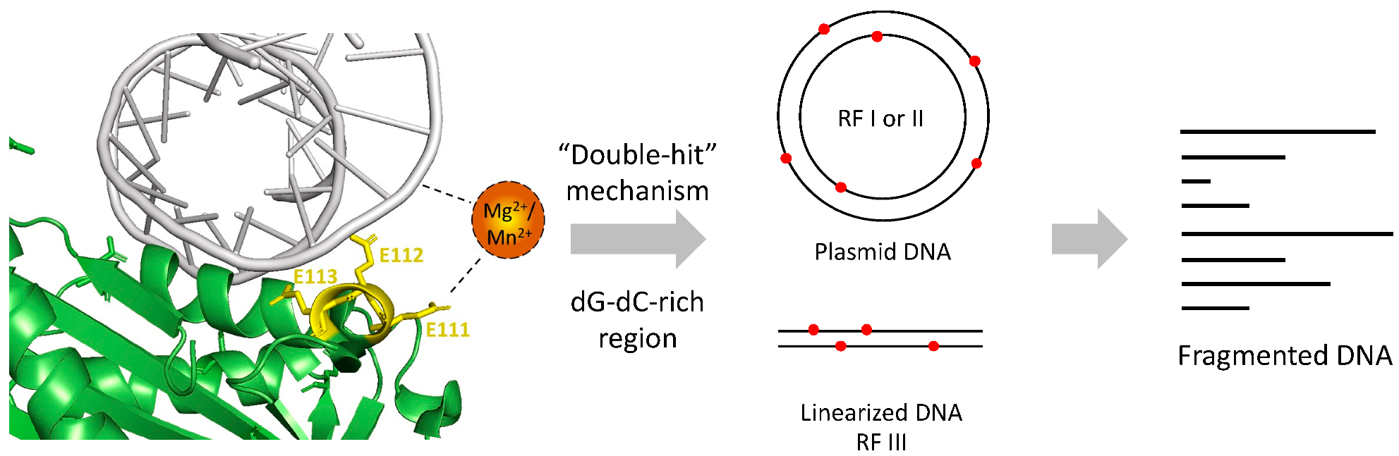 Toxins 14 00392 g008 Toxins 14 00392 g008