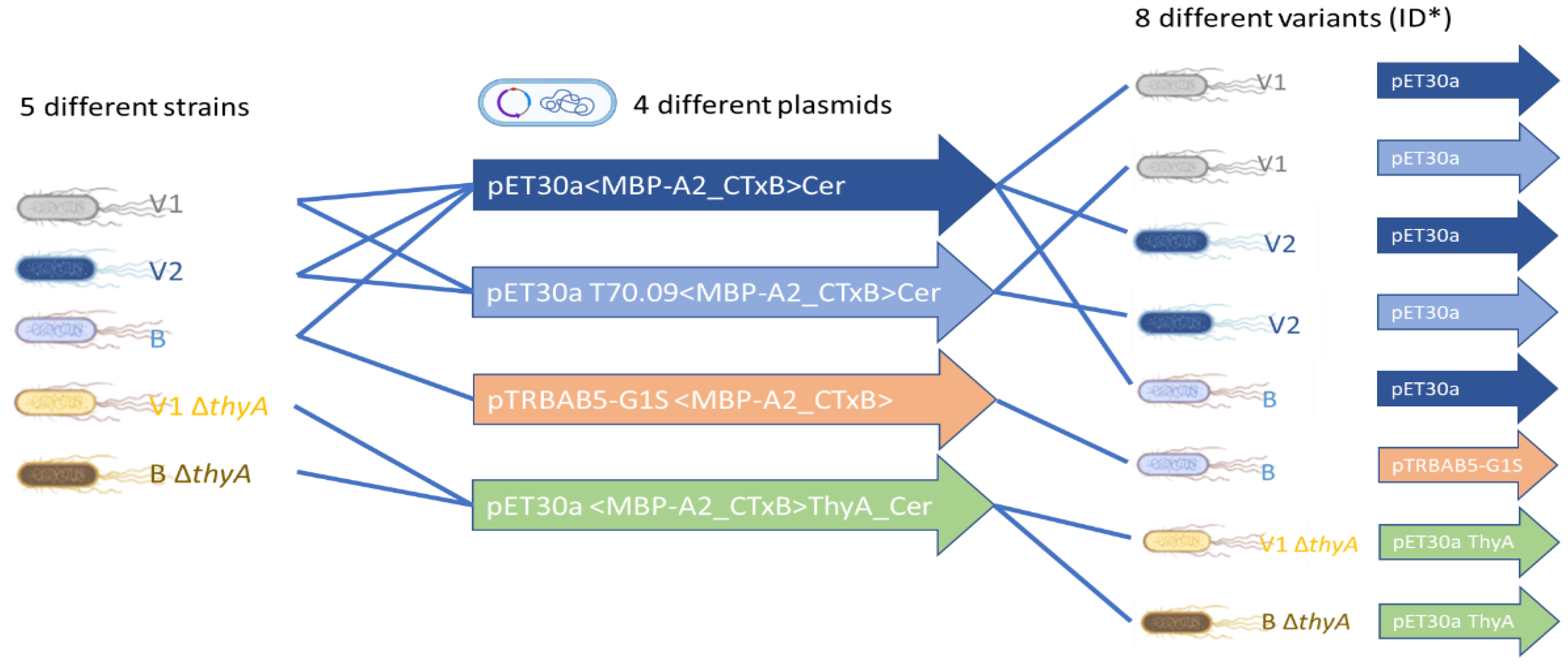 Toxins 14 00396 g002
