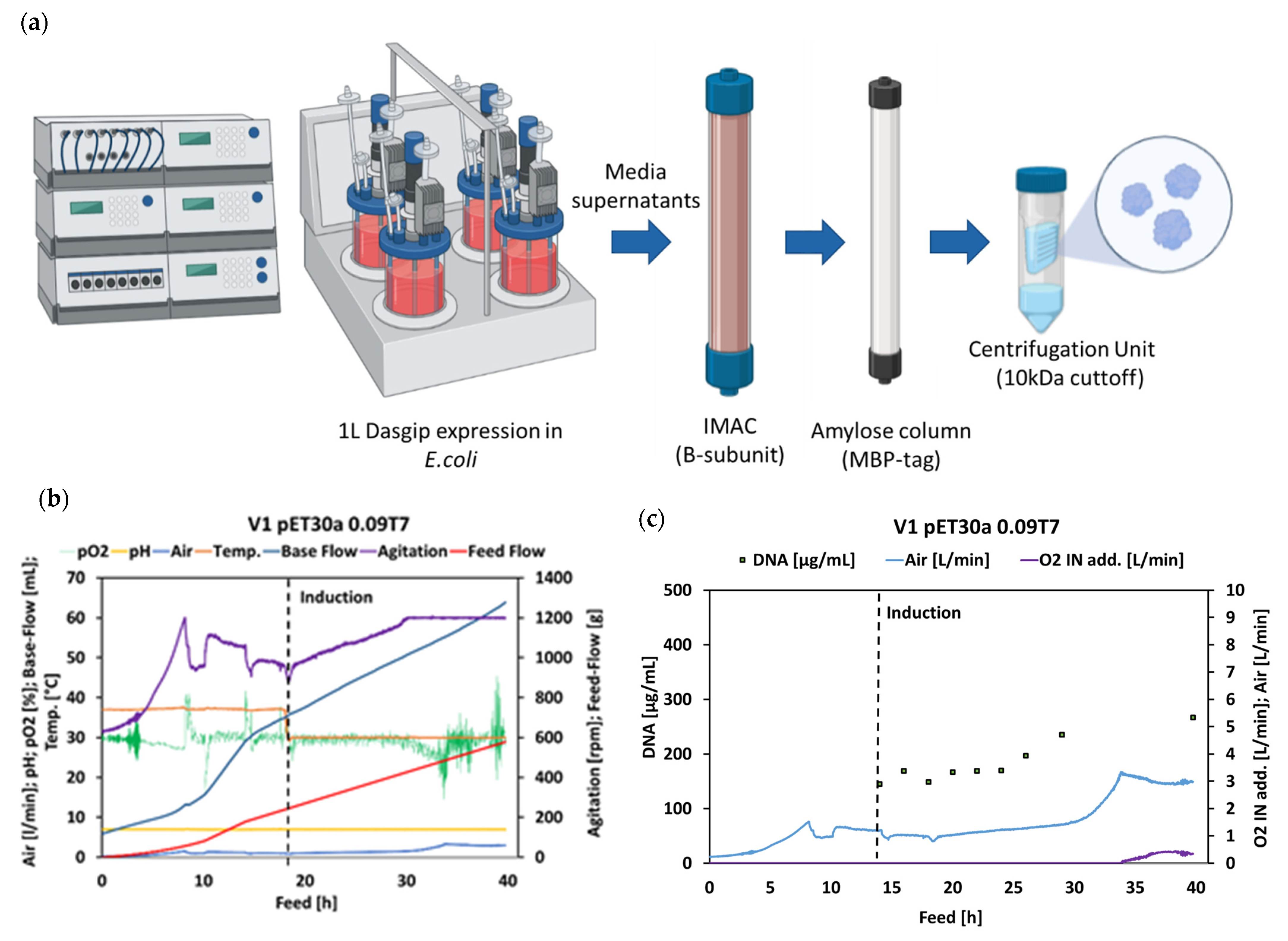 Toxins 14 00396 g005a