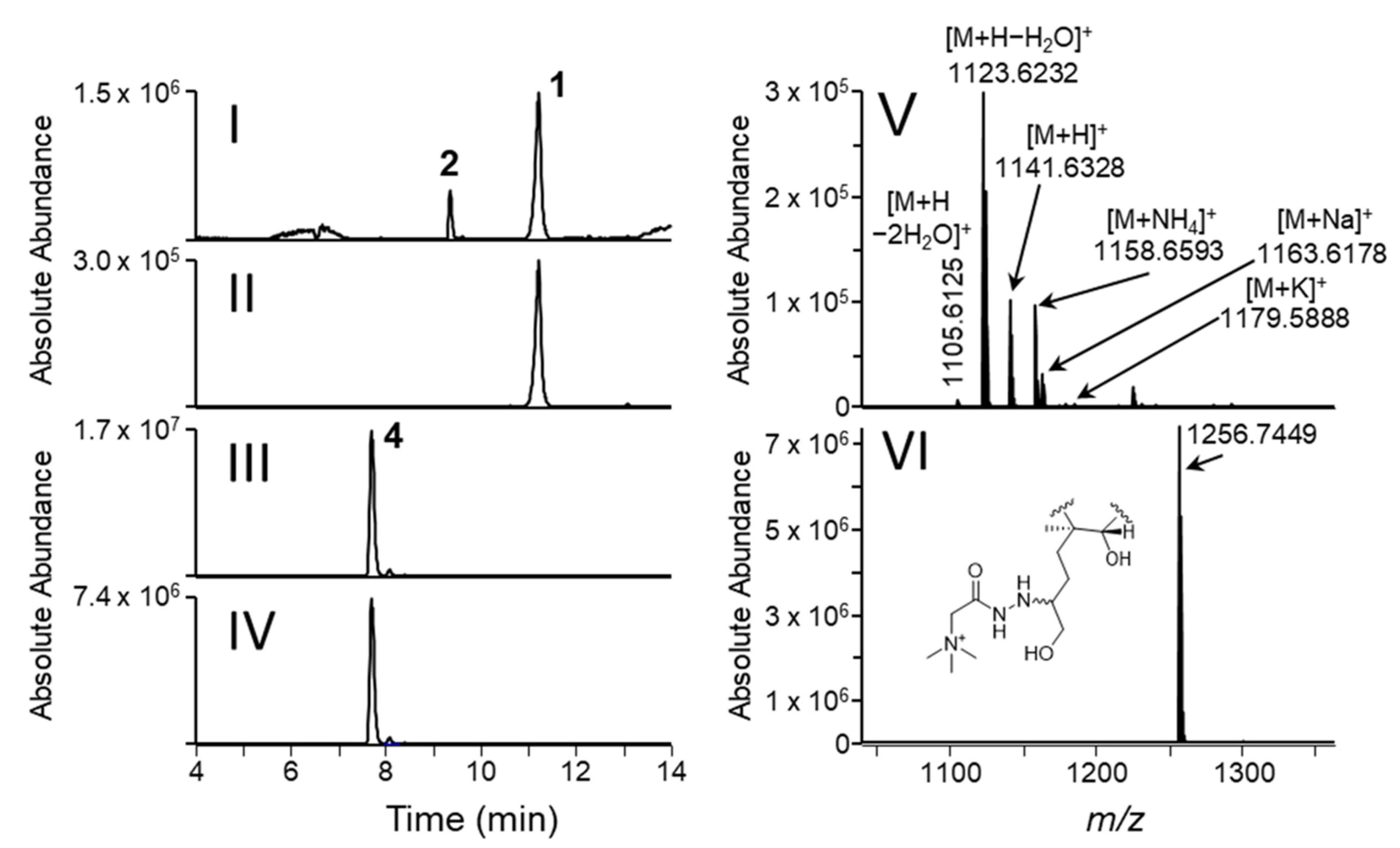 Toxins 14 00399 g003 550