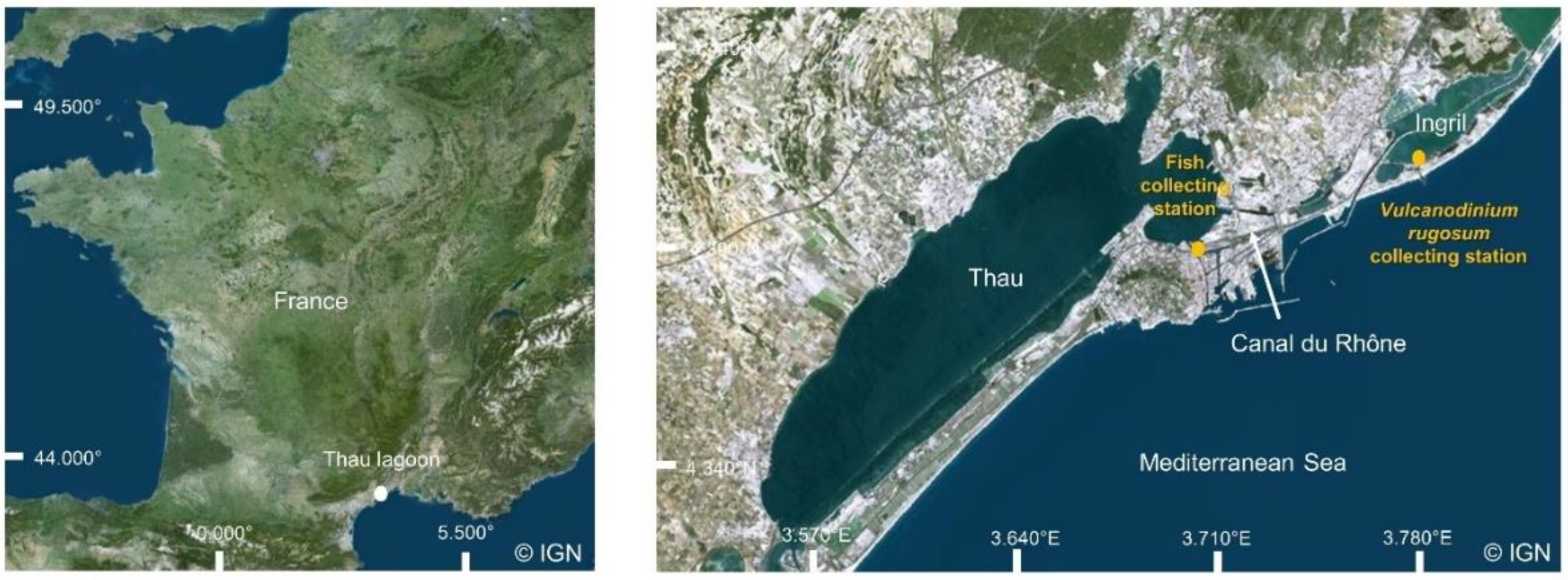 Toxins 14 00401 g007