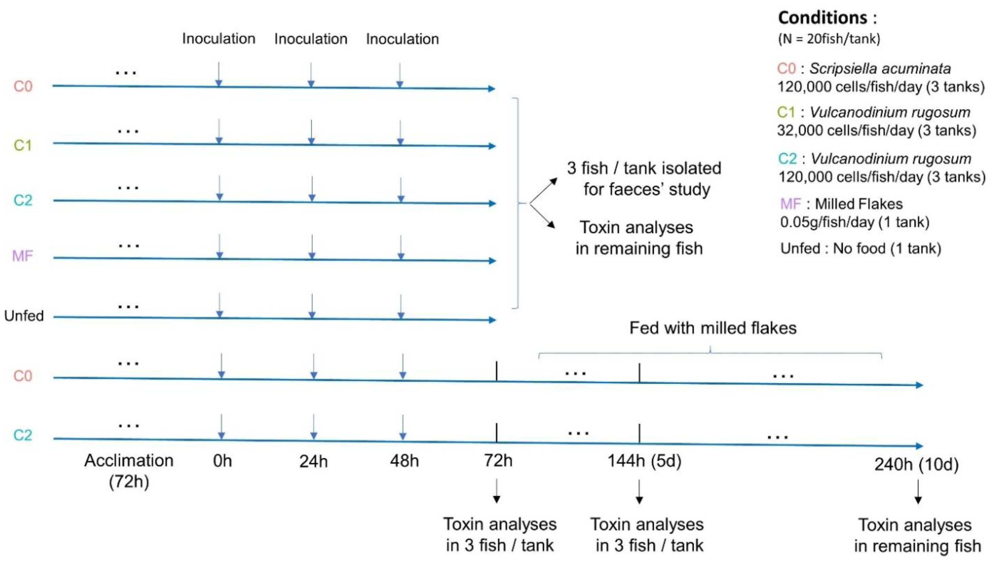 Toxins 14 00401 g008
