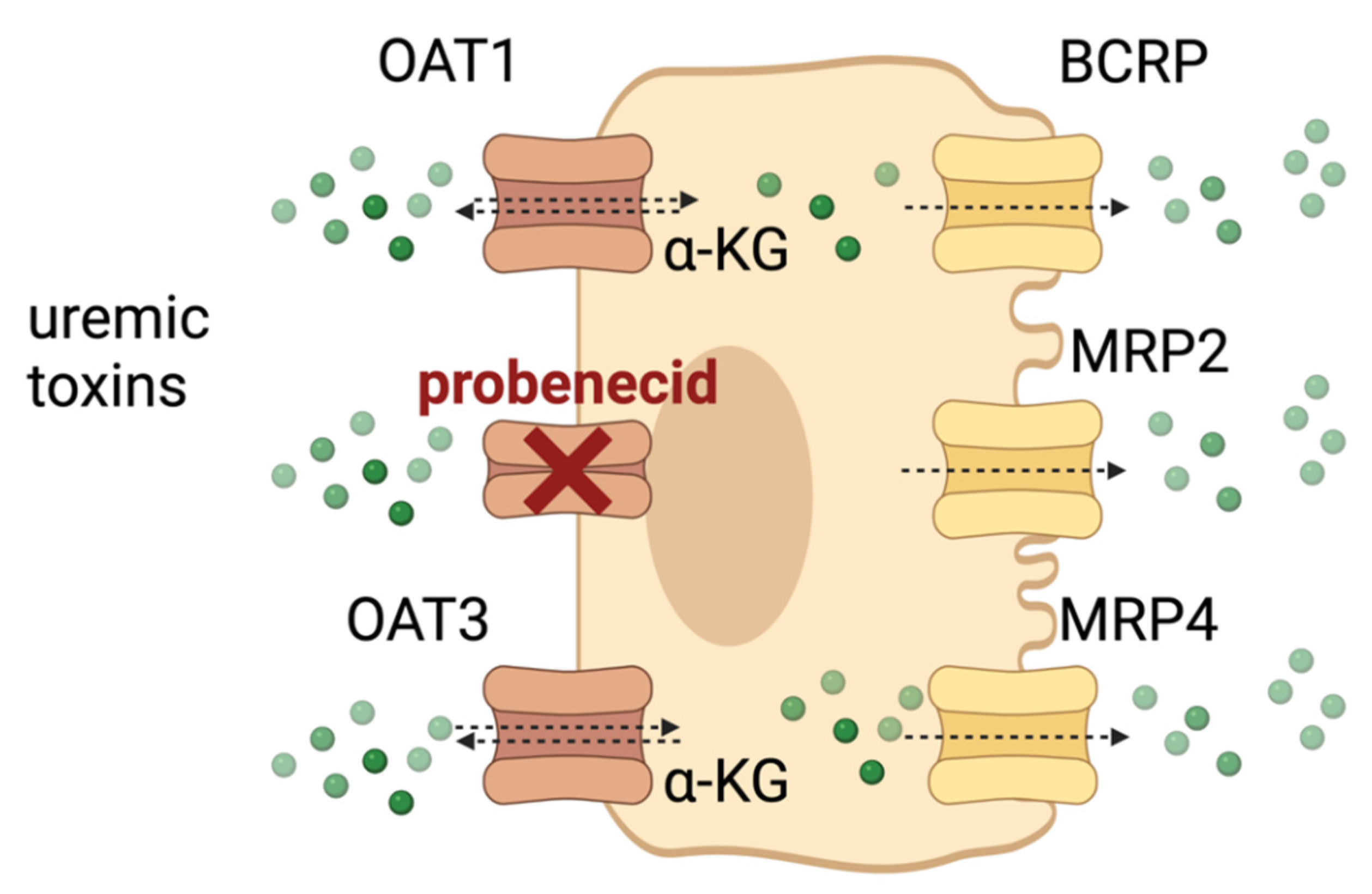 Toxins 14 00402 g001