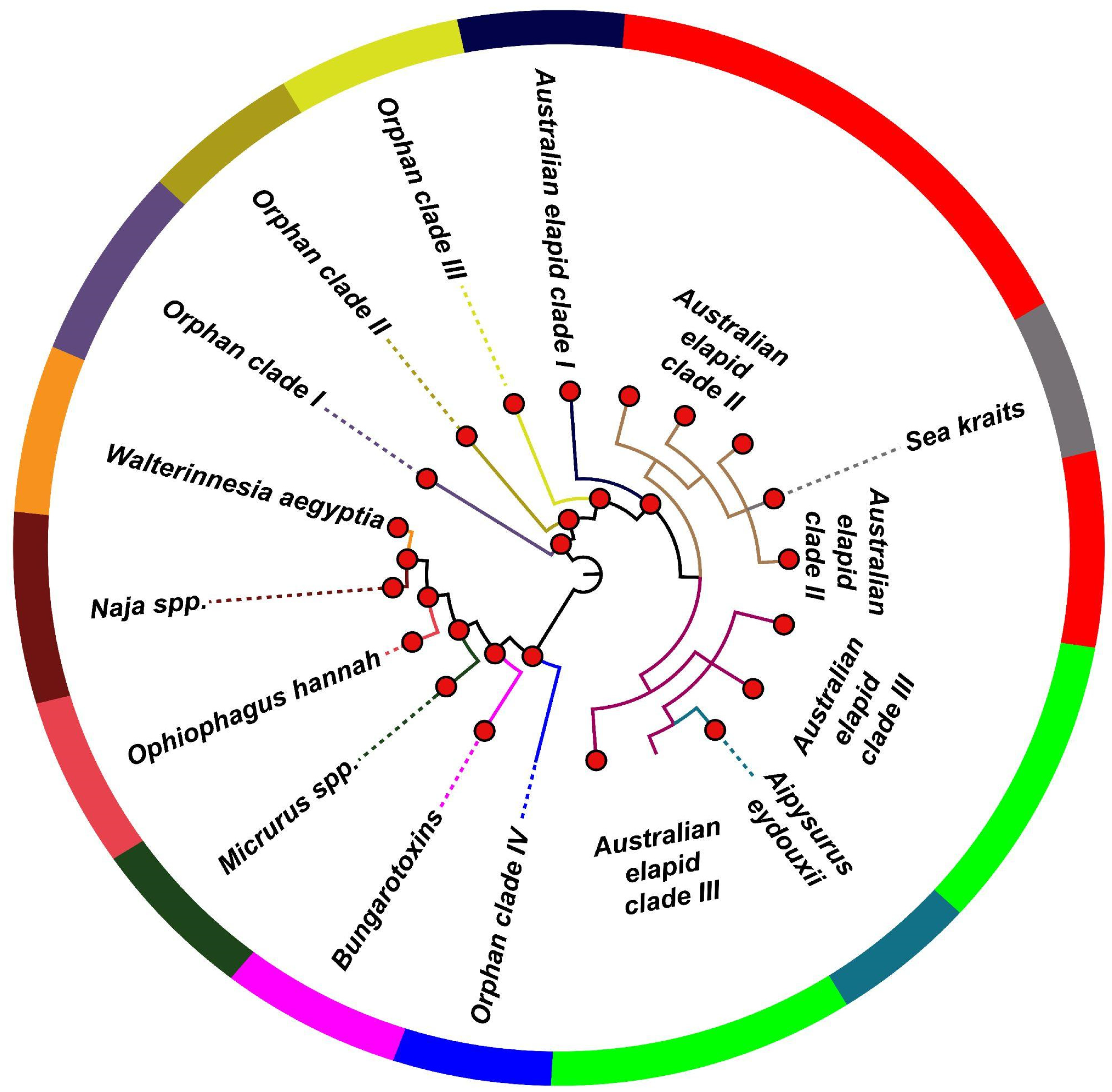 Toxins 14 00420 g001