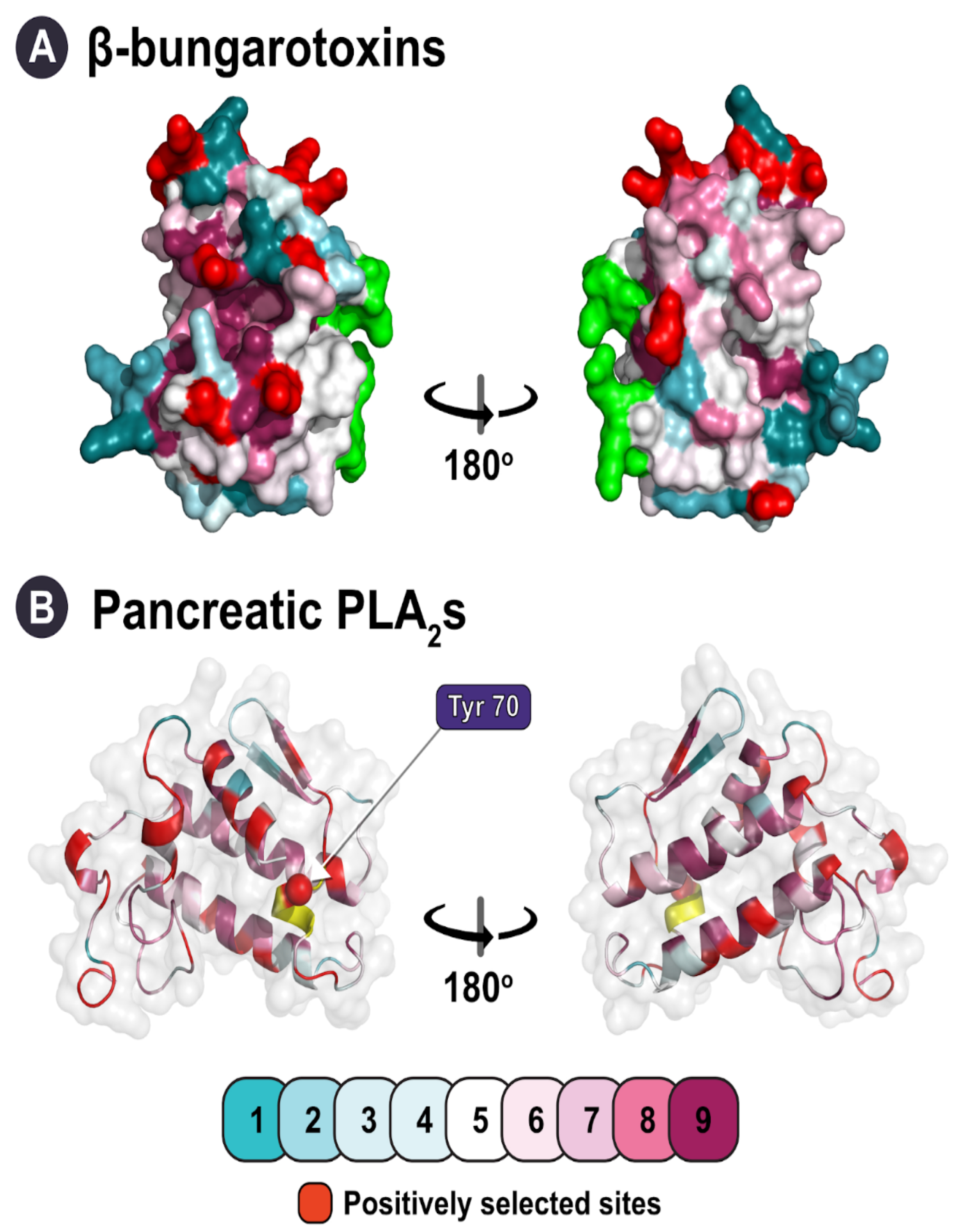 Toxins 14 00420 g004