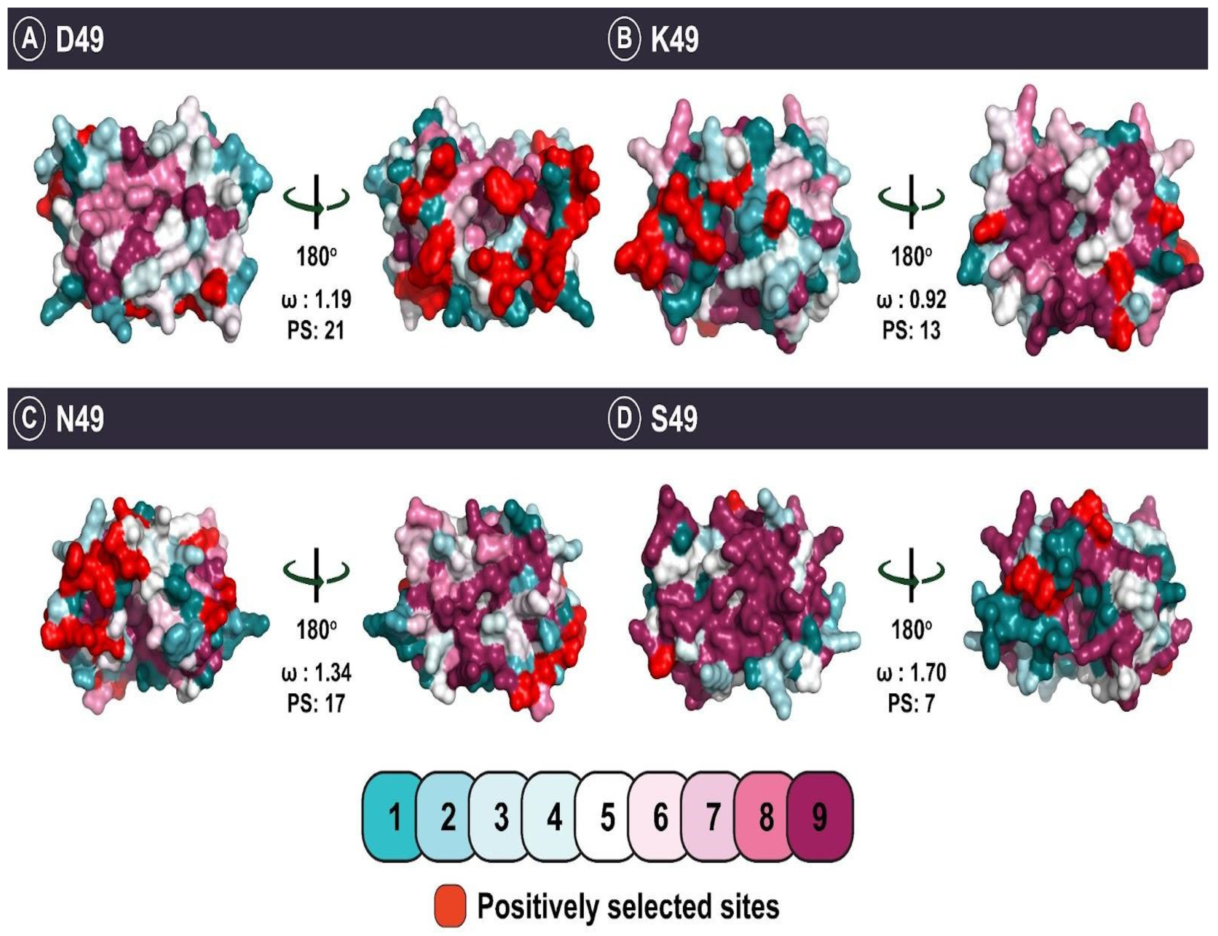 Toxins 14 00420 g005