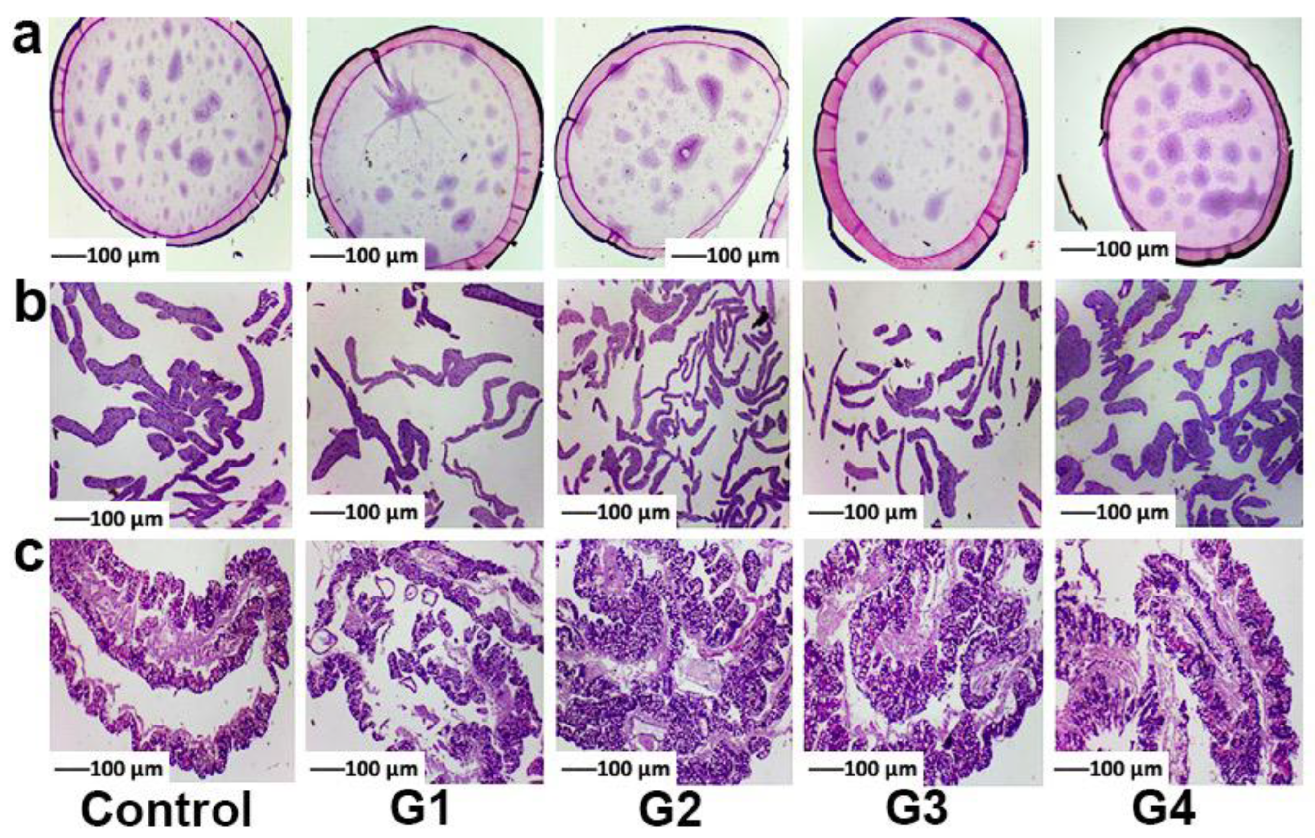Toxins 14 00421 g002