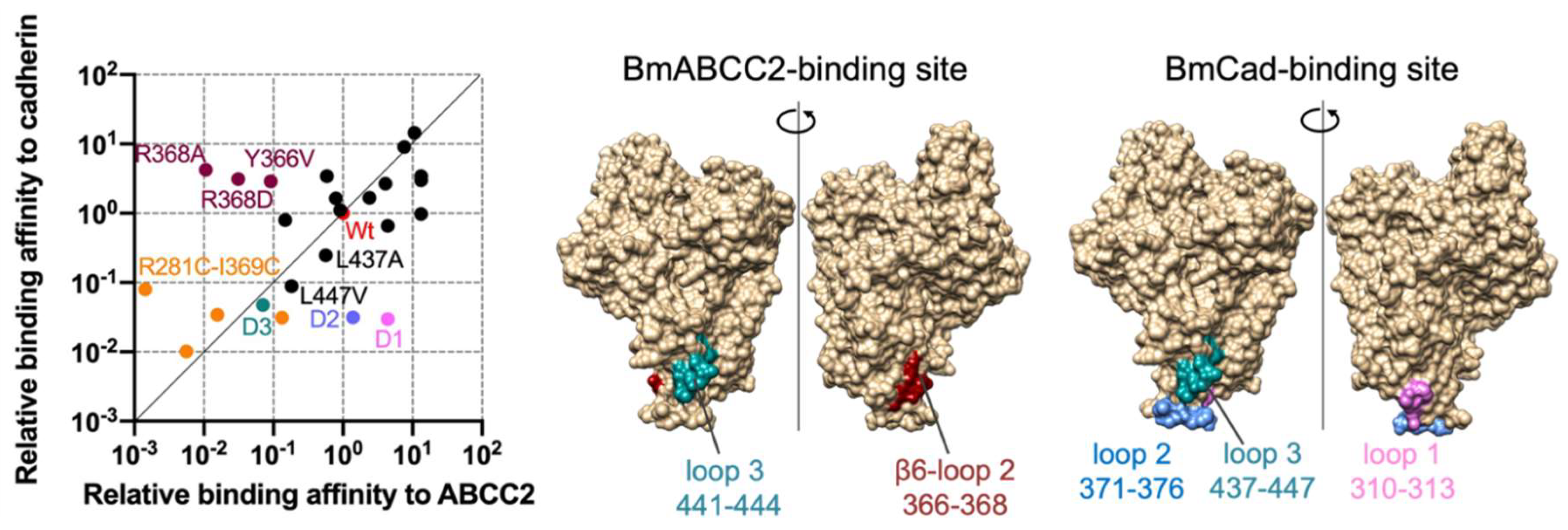 Toxins 14 00433 g001