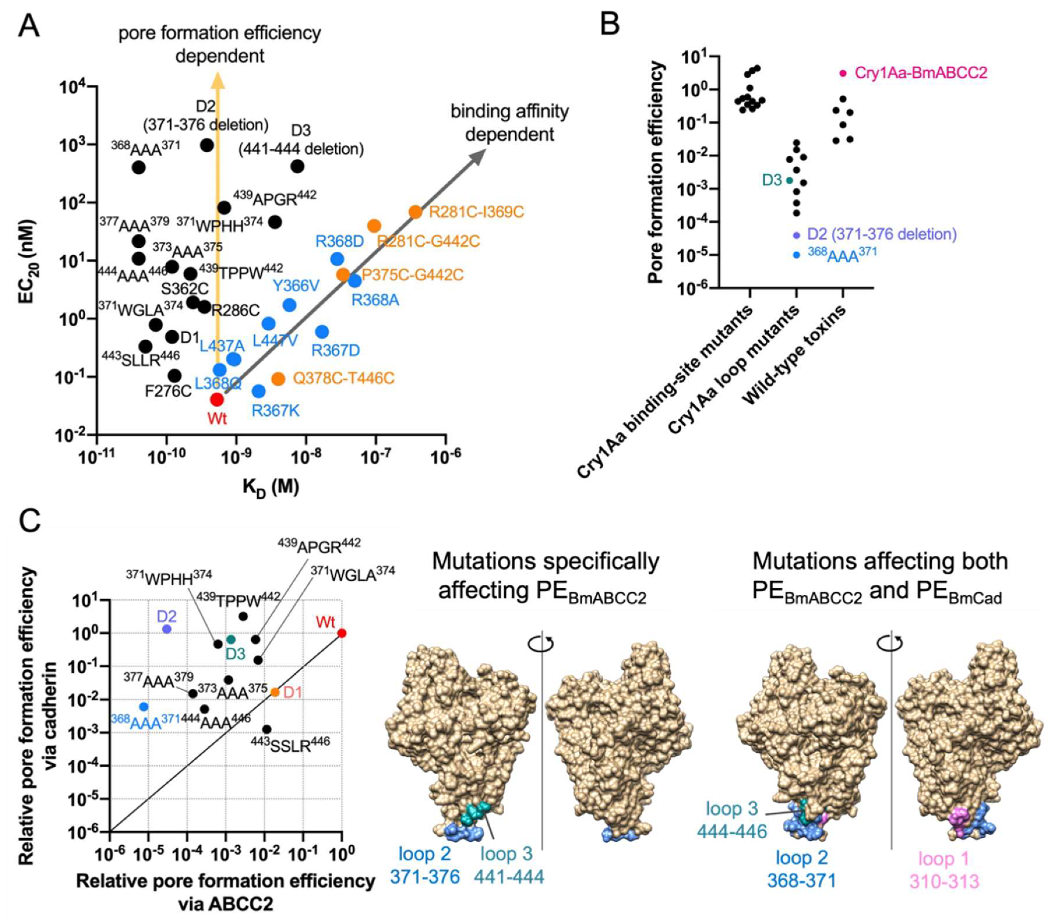 Toxins 14 00433 g003