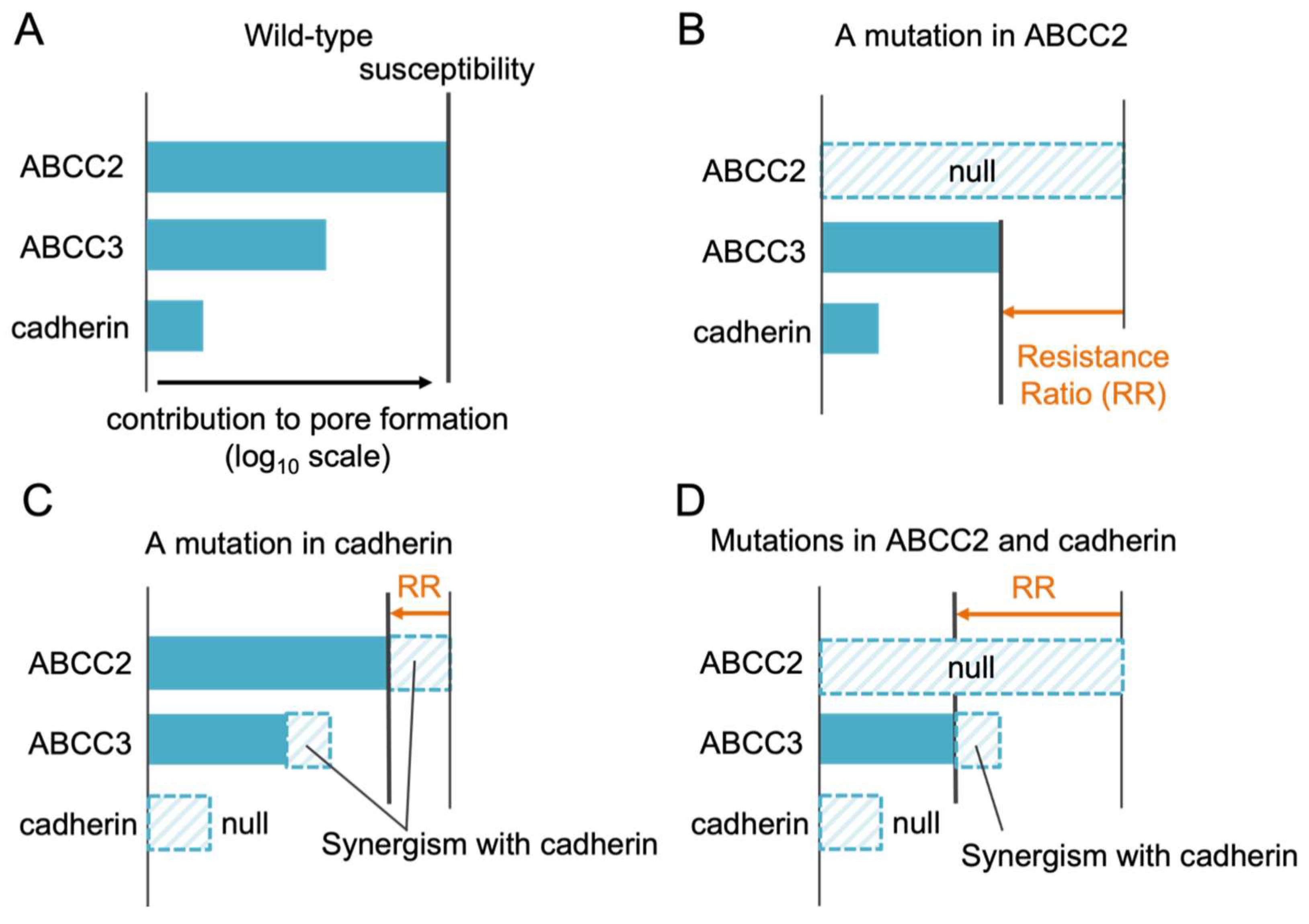 Toxins 14 00433 g004