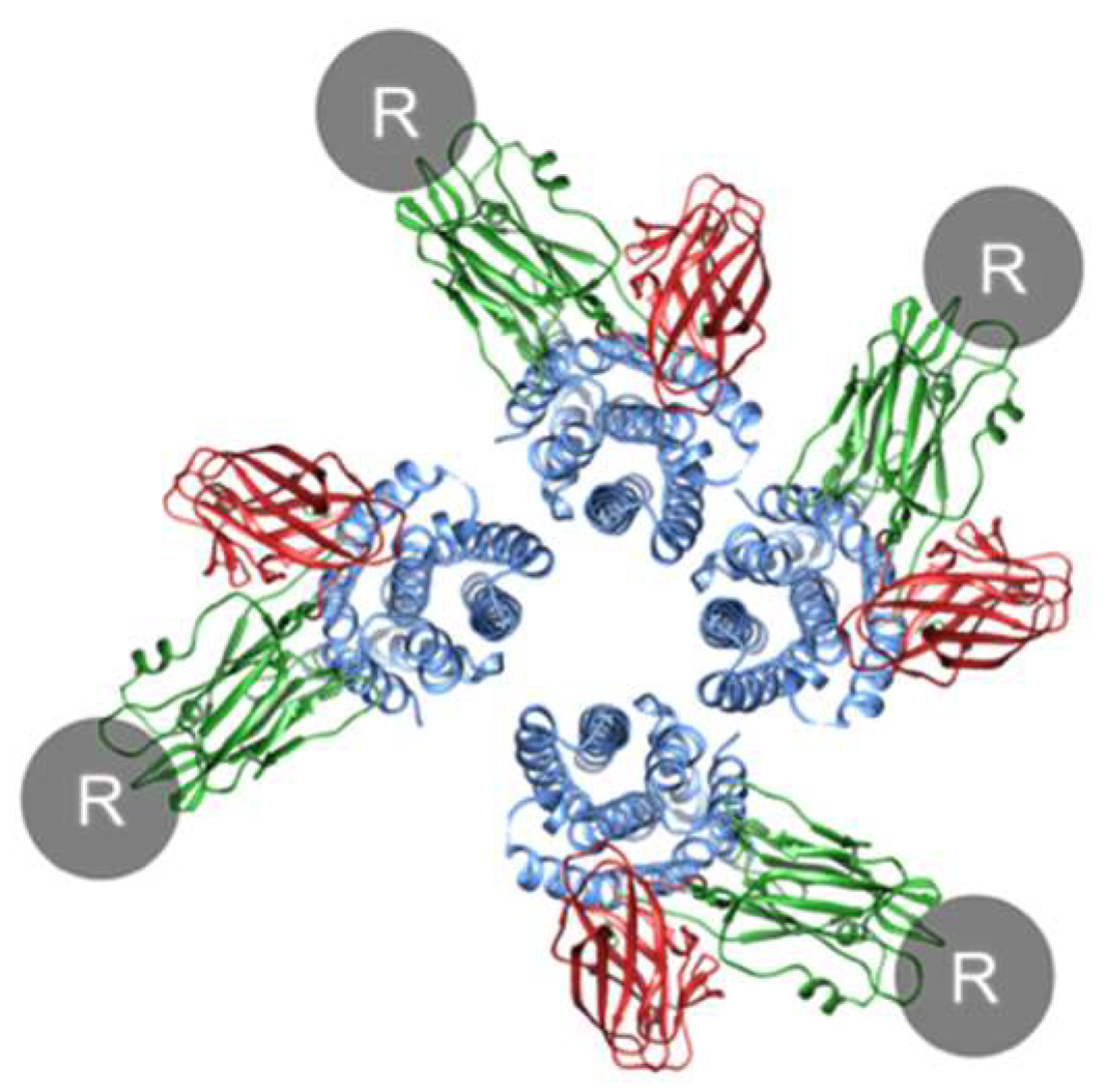 Toxins 14 00433 g006