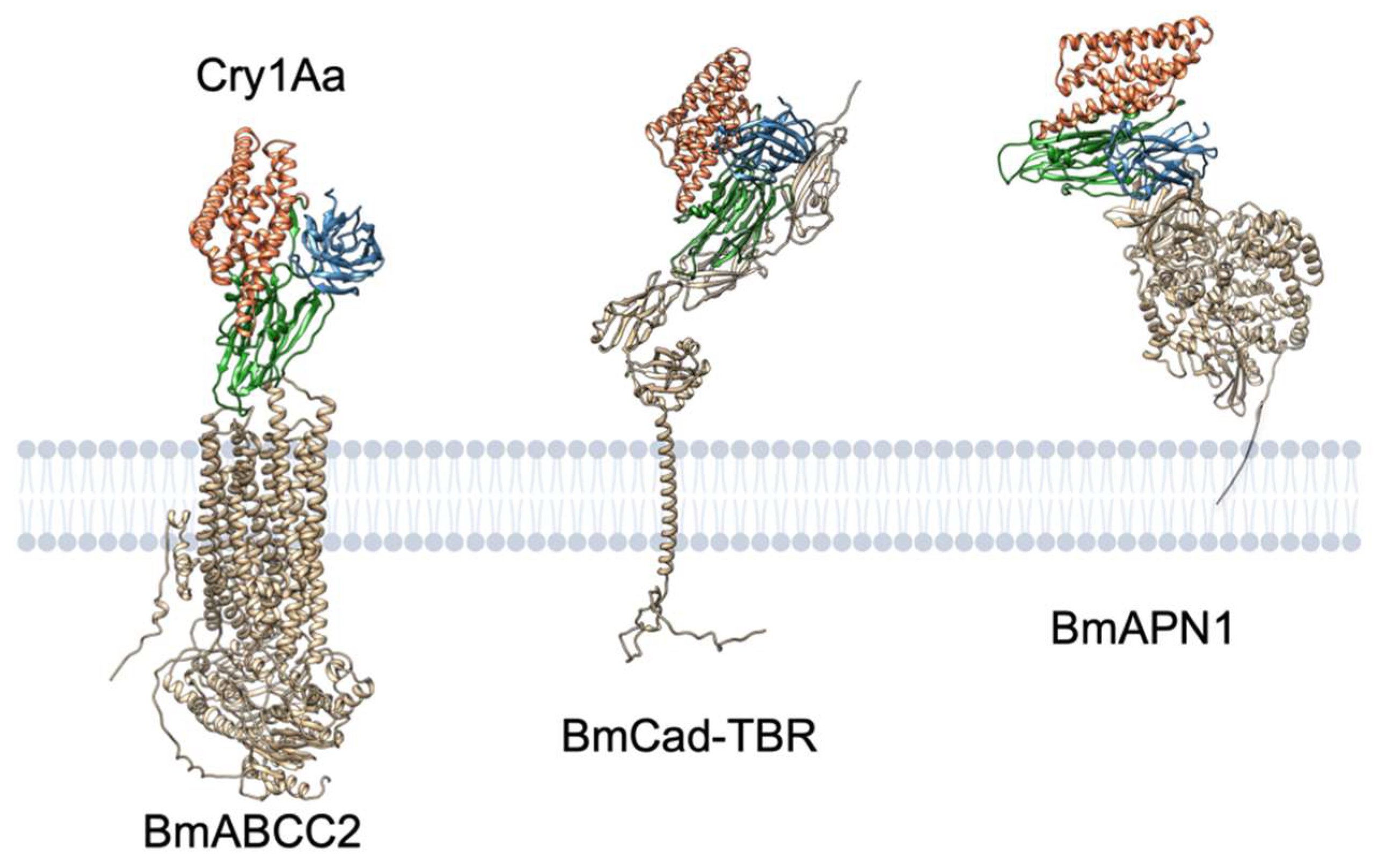 Toxins 14 00433 g008