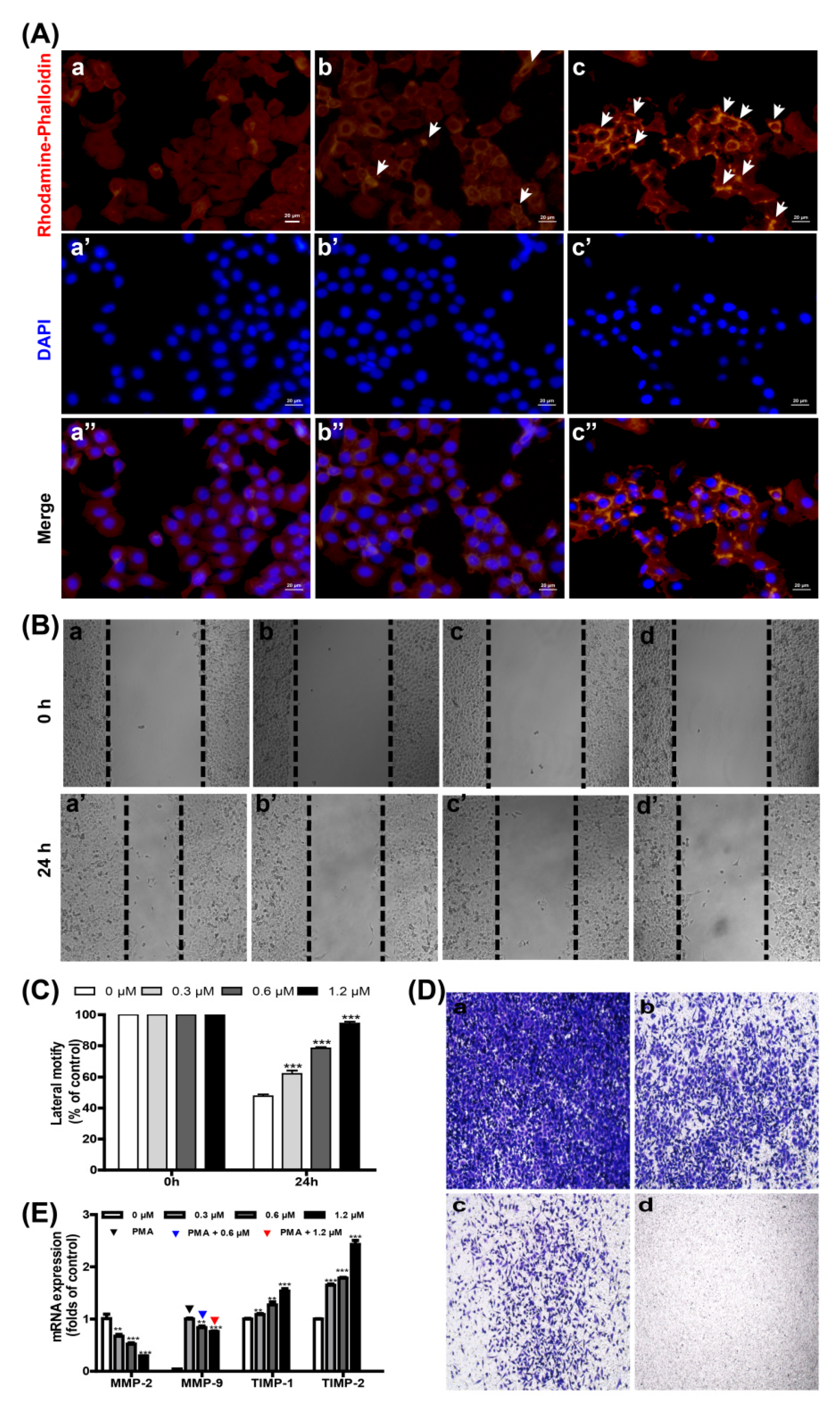 Toxins 14 00438 g003