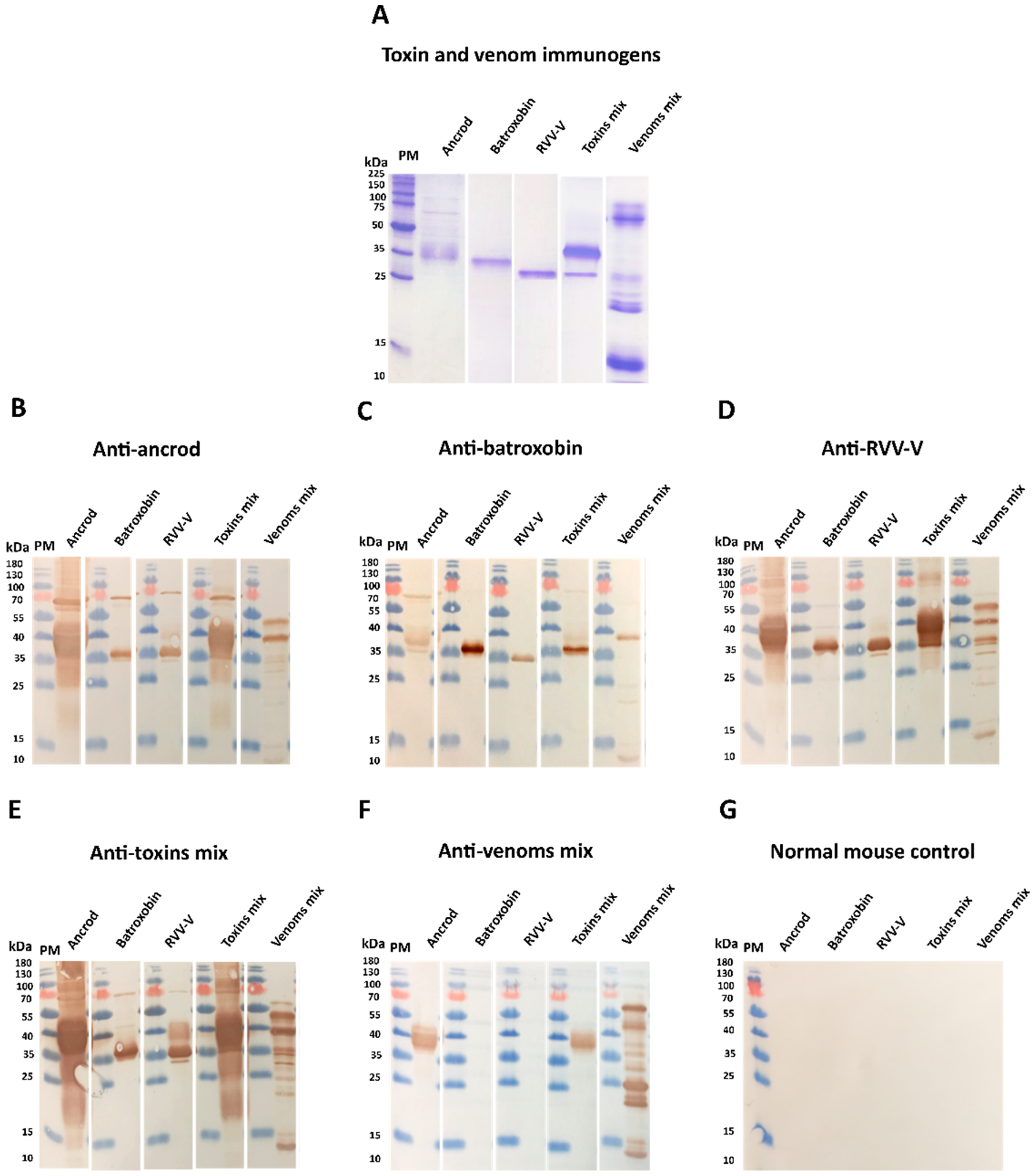 Toxins 14 00443 g004