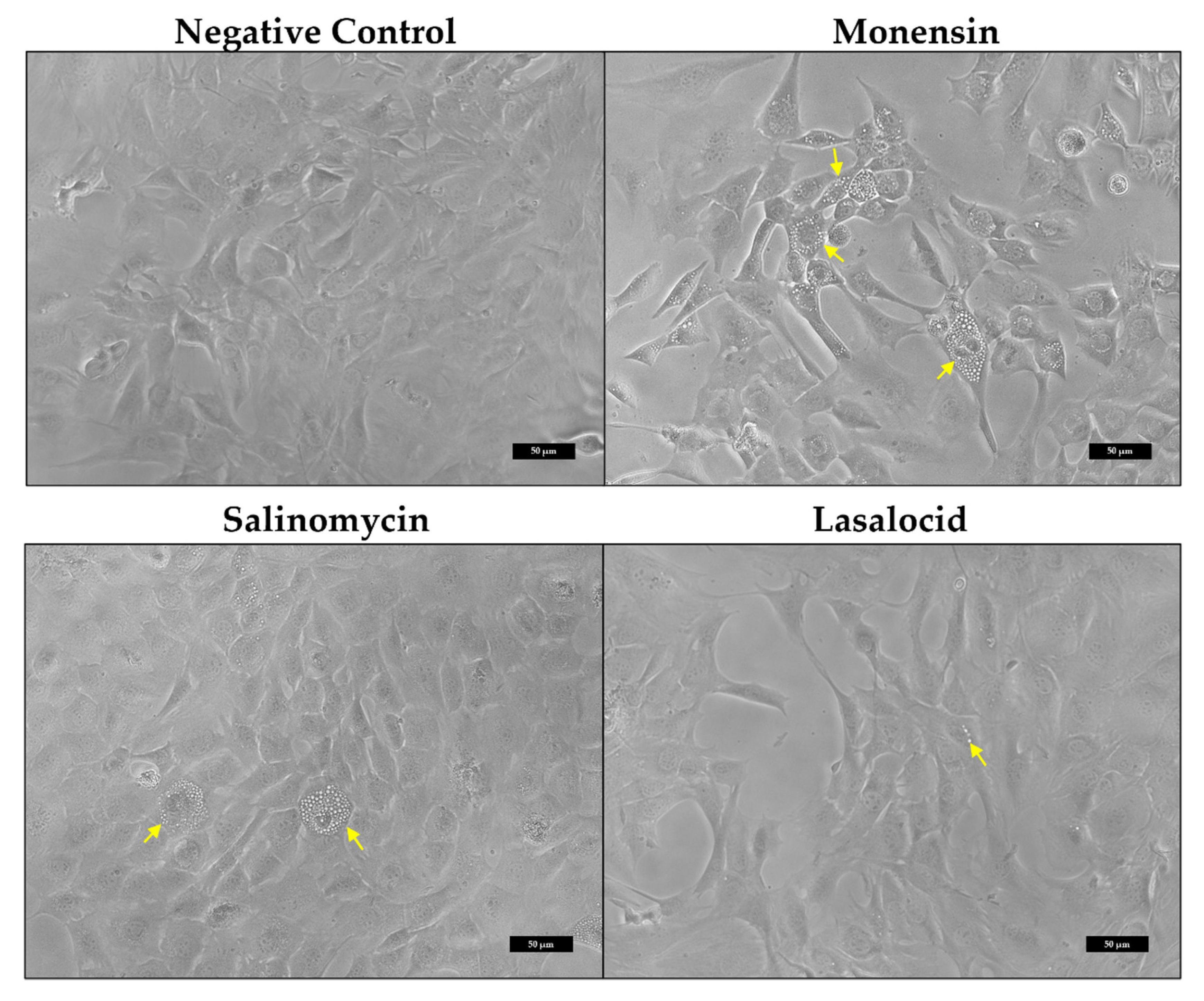 Toxins 14 00447 g002