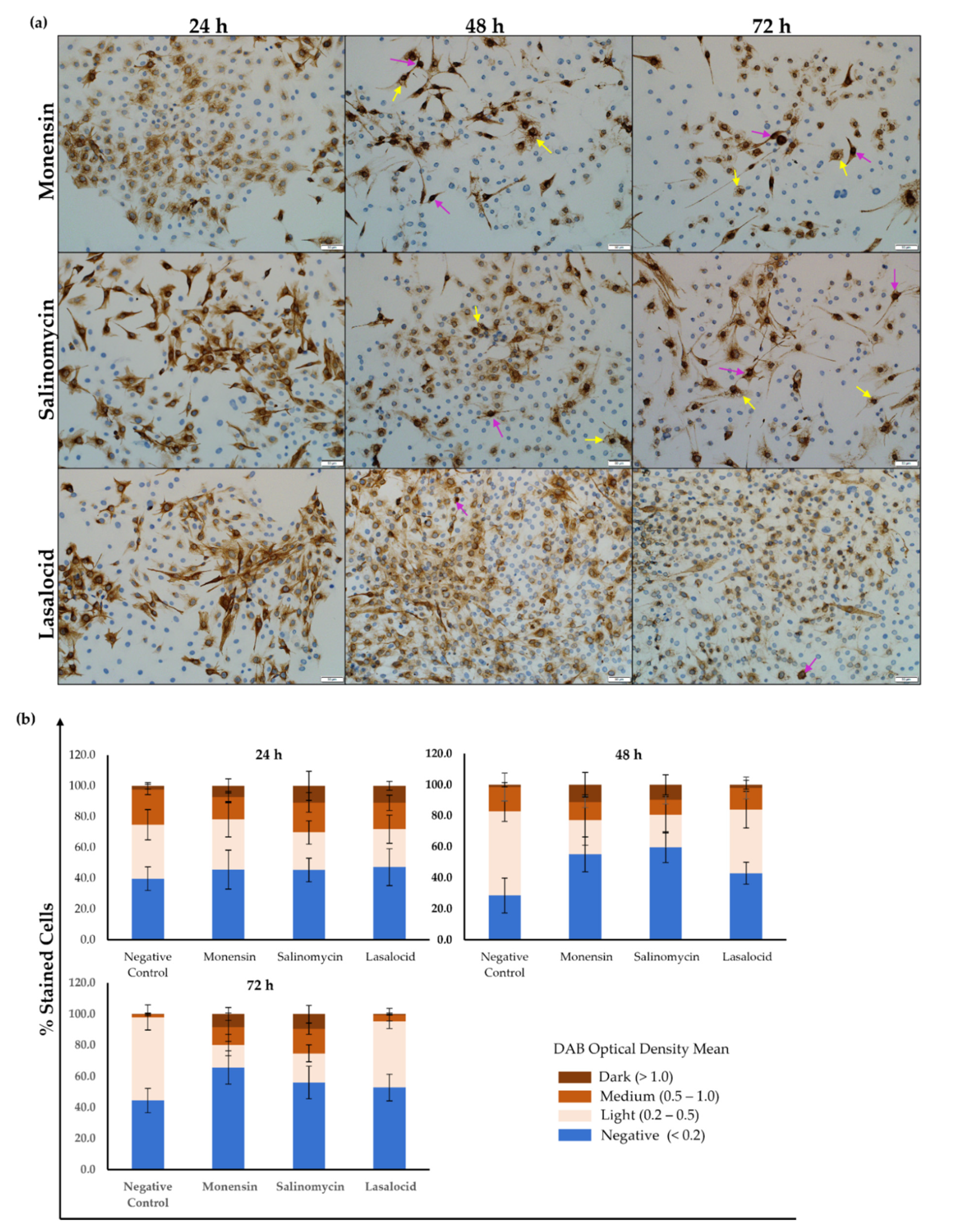 Toxins 14 00447 g004