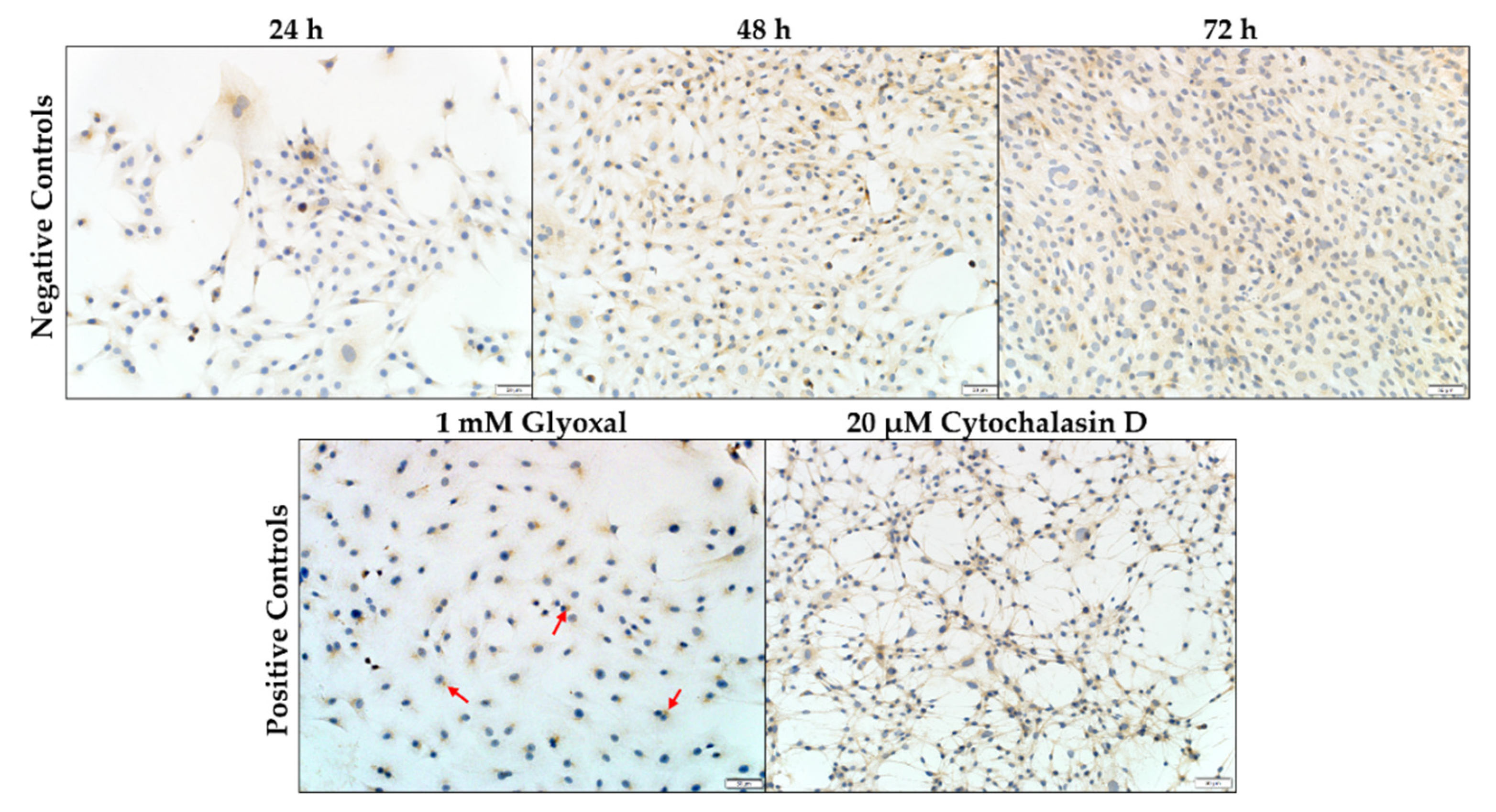 Toxins 14 00447 g005