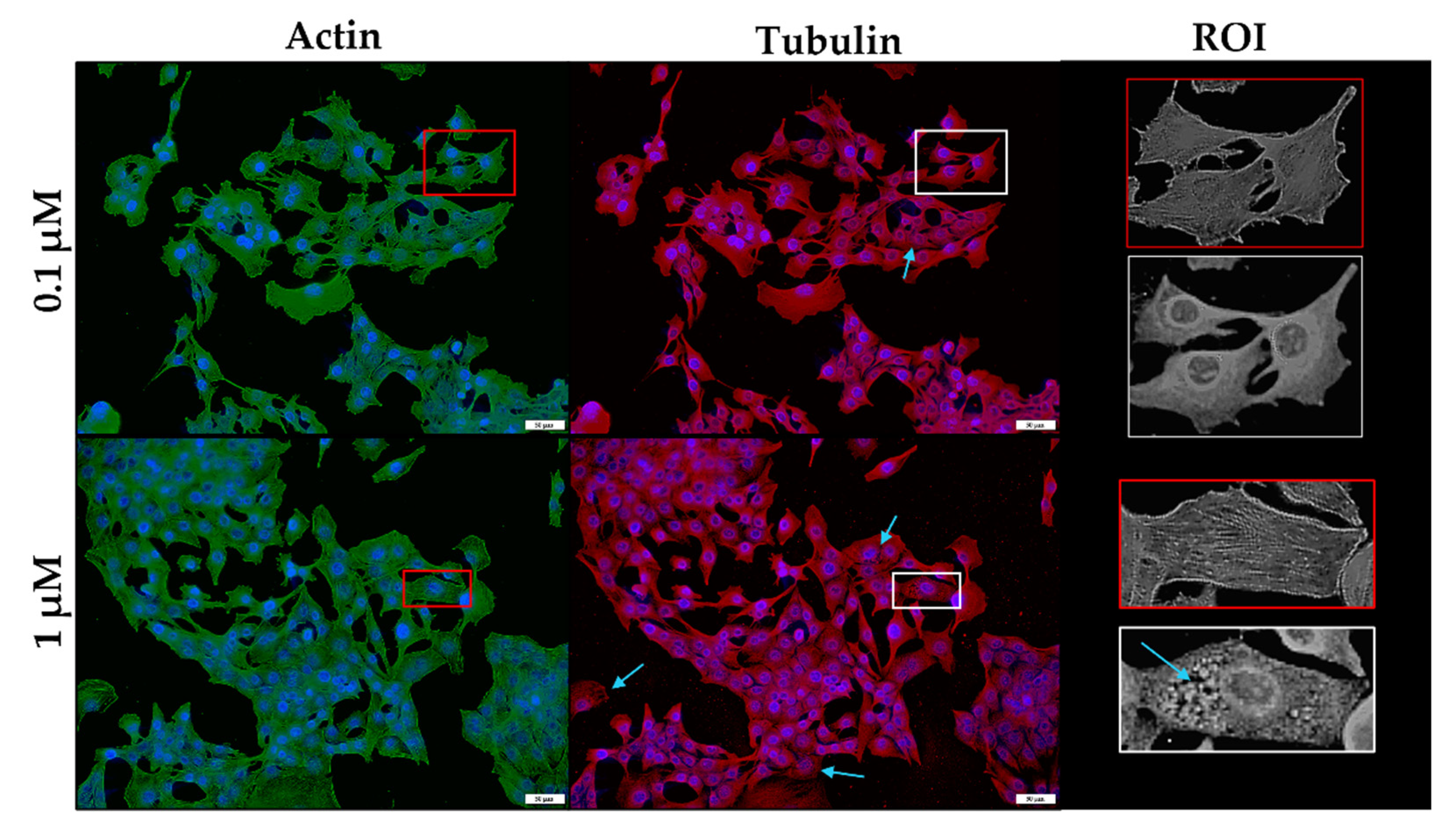 Toxins 14 00447 g008