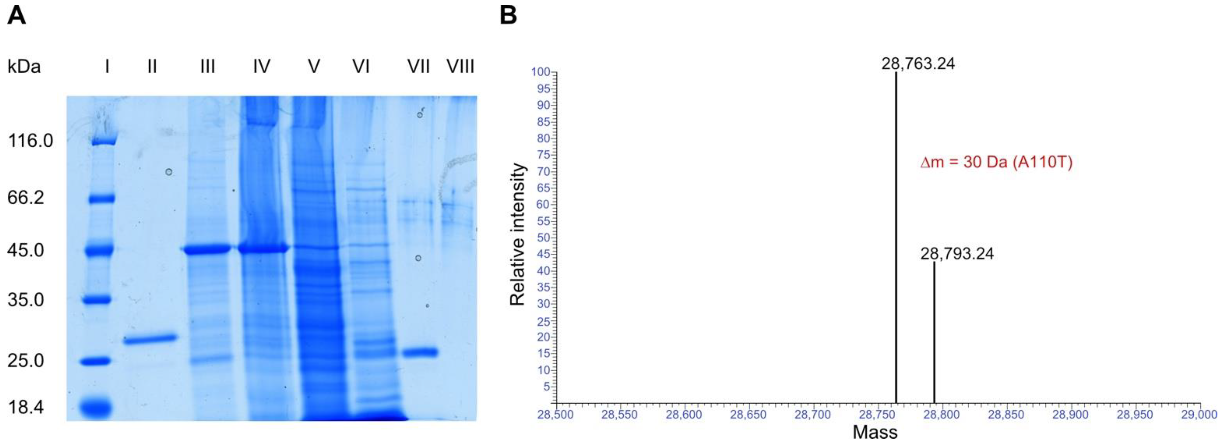 Toxins 14 00449 g001 550