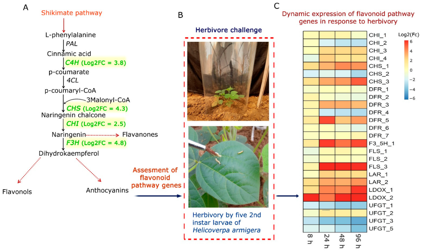 Toxins 14 00455 g001