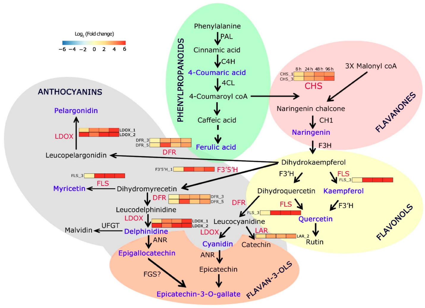 Toxins 14 00455 g003