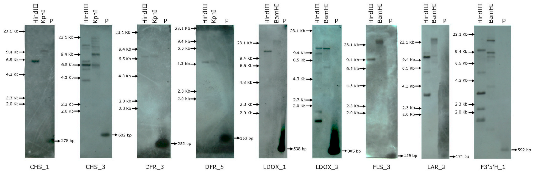 Toxins 14 00455 g004