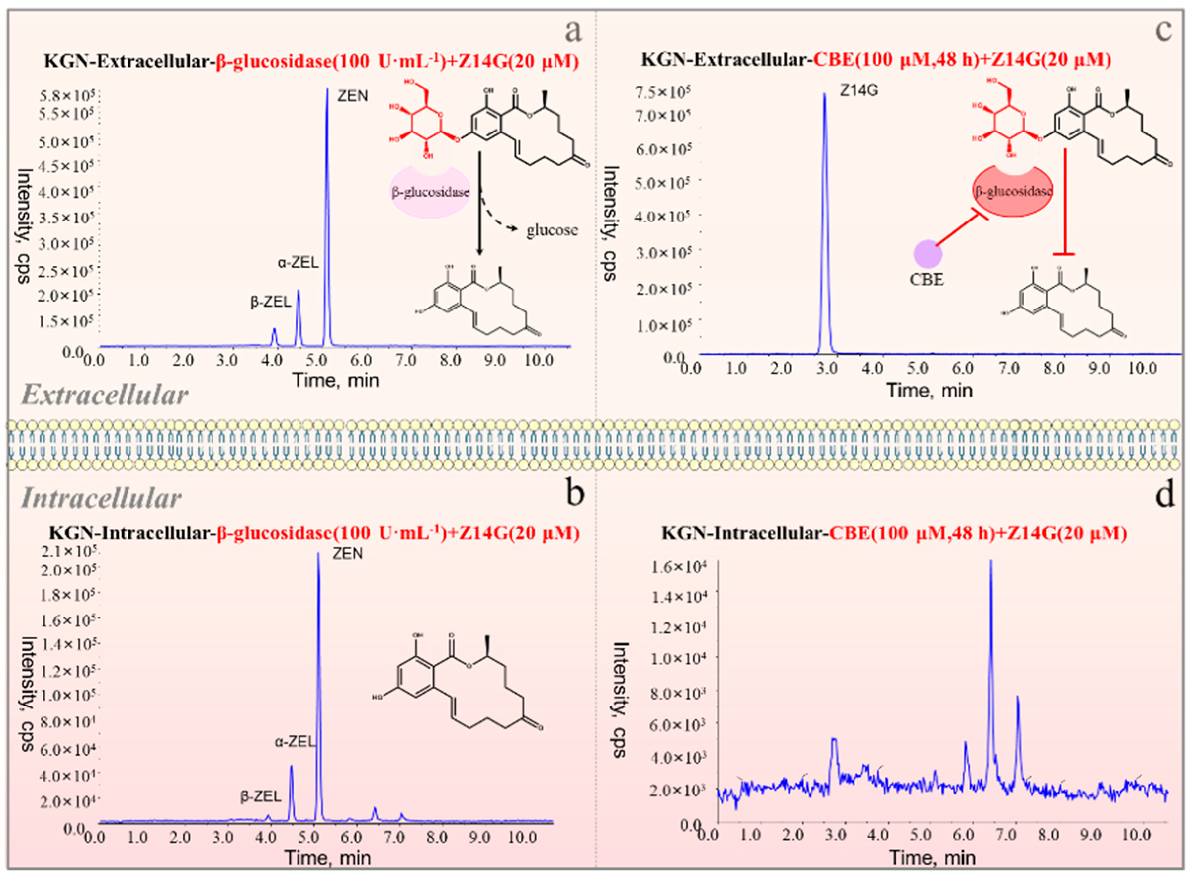 Toxins 14 00458 g004