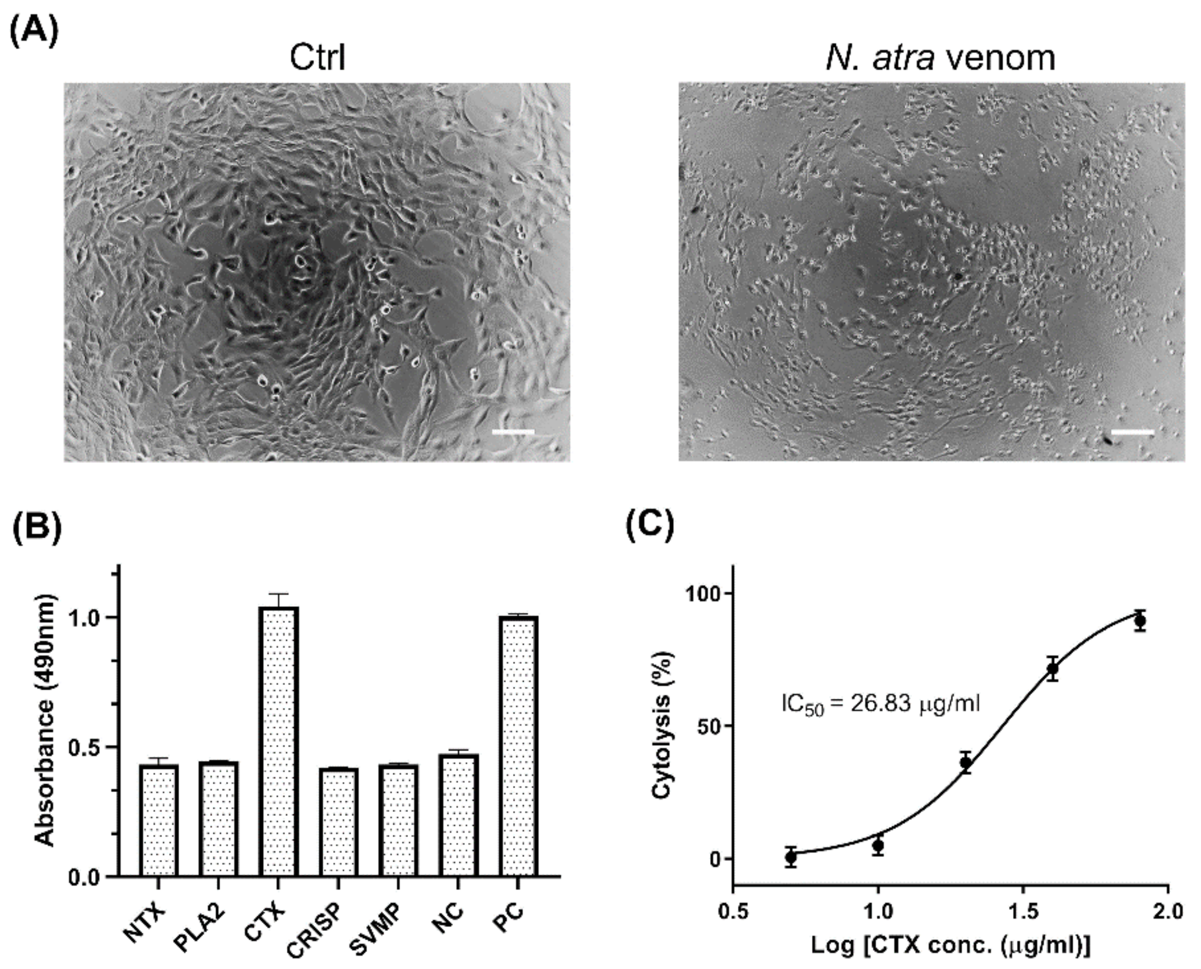 Toxins 14 00459 g001
