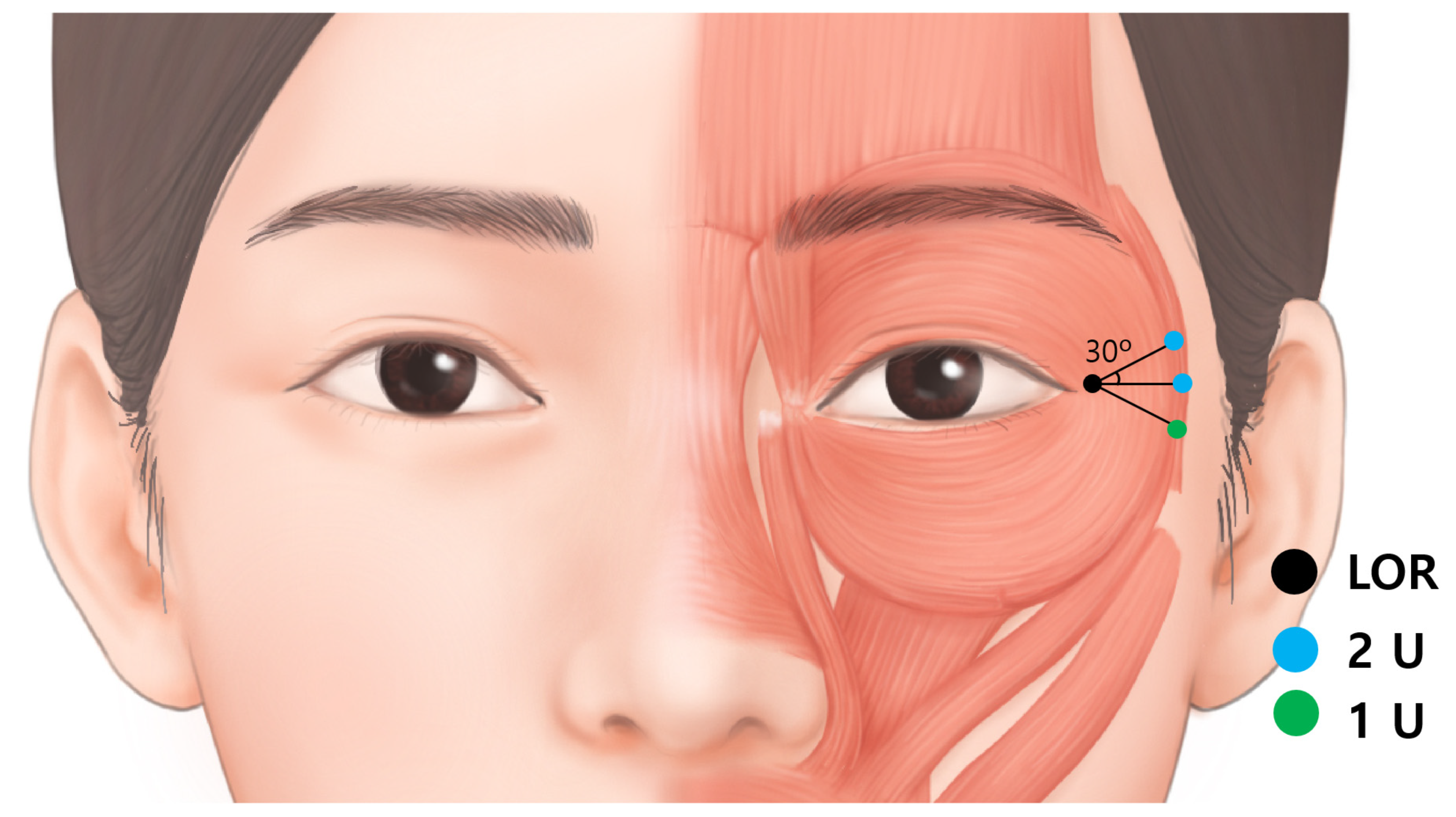 Toxins 14 00462 g006