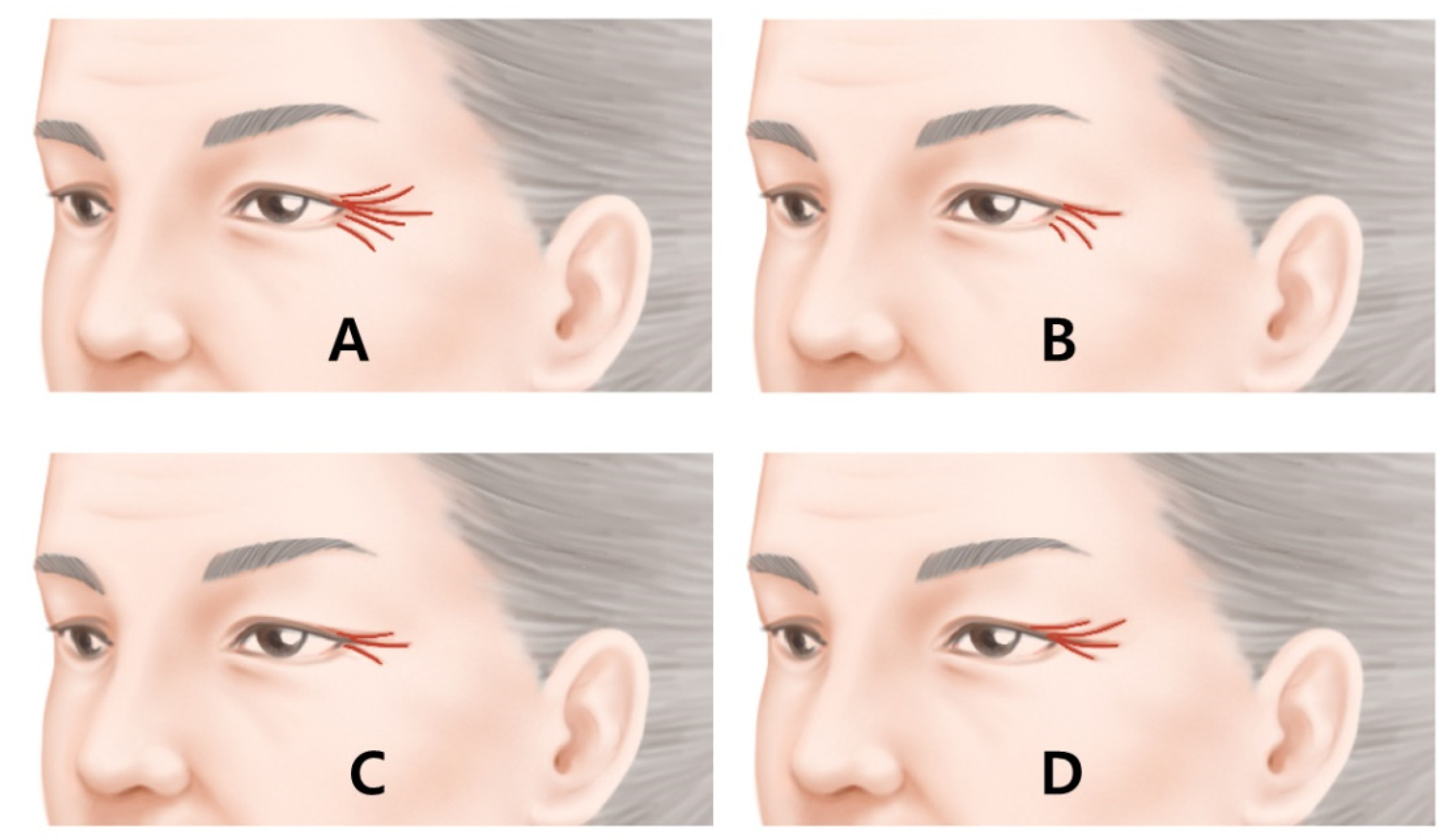 Toxins 14 00462 g008